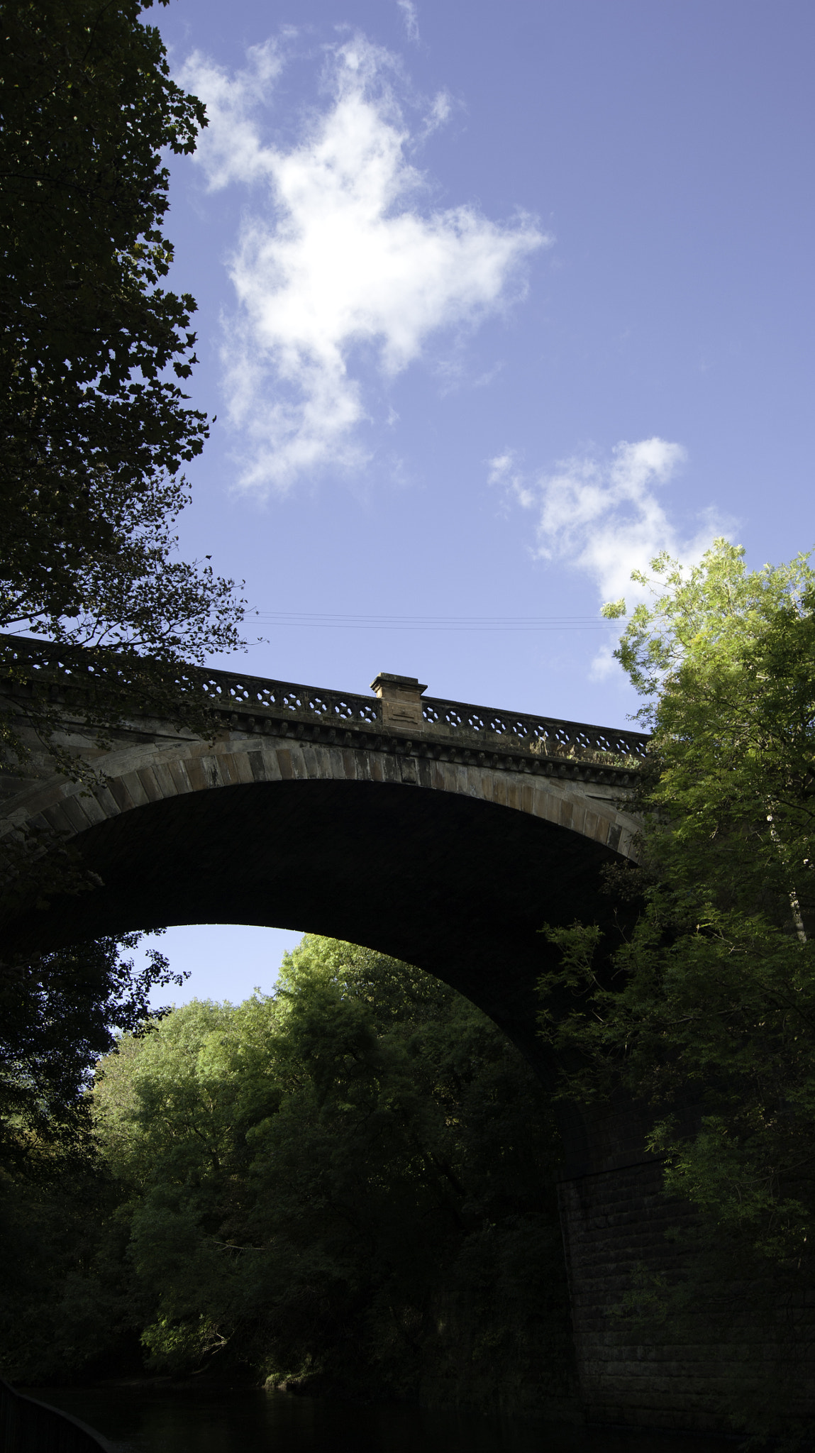 Sony Alpha DSLR-A290 + Sony DT 18-55mm F3.5-5.6 SAM sample photo. Kelvingrove park photography