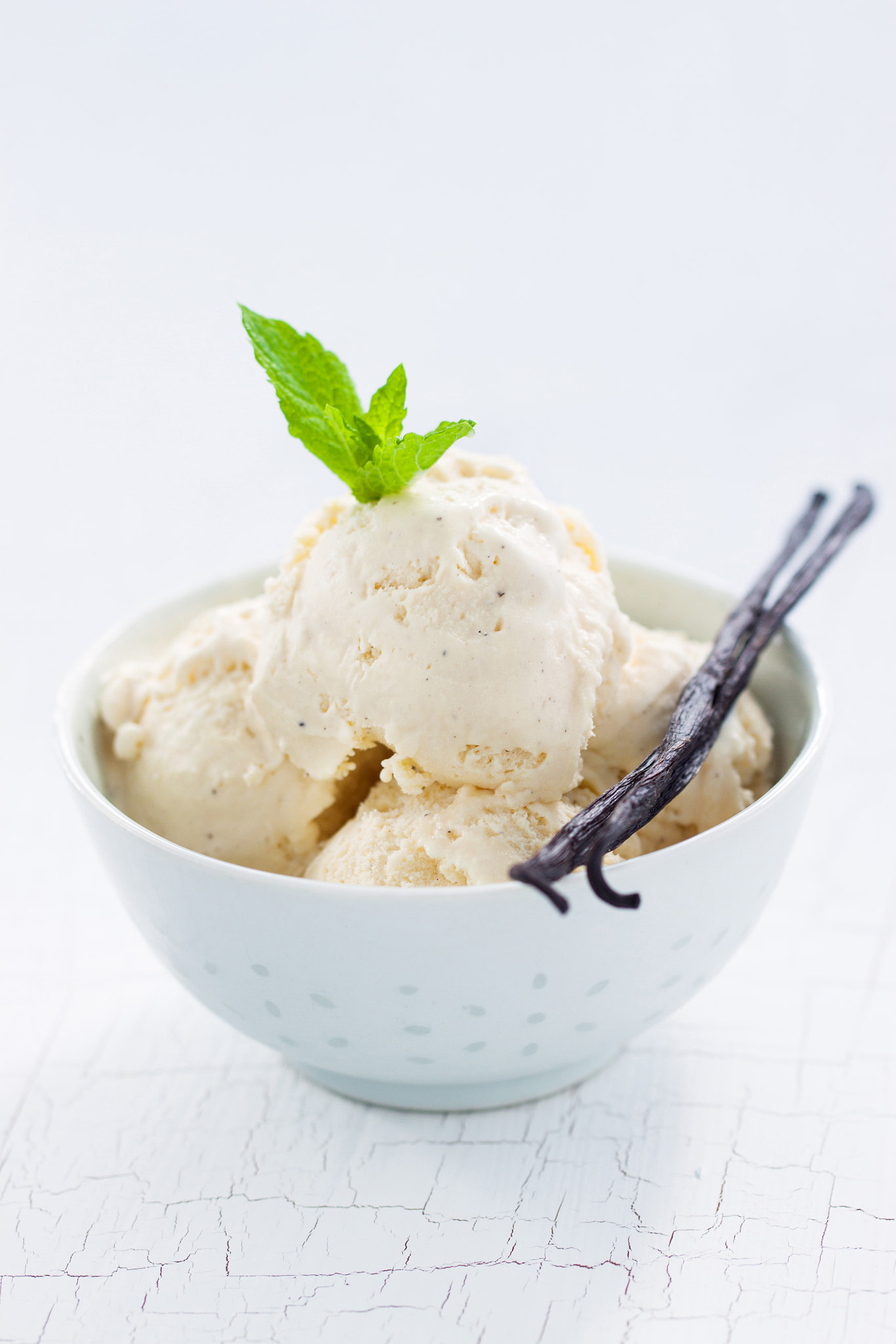 Canon EOS 50D sample photo. Vanilla ice with vanilla sticks and mint in a bowl, closeup photography