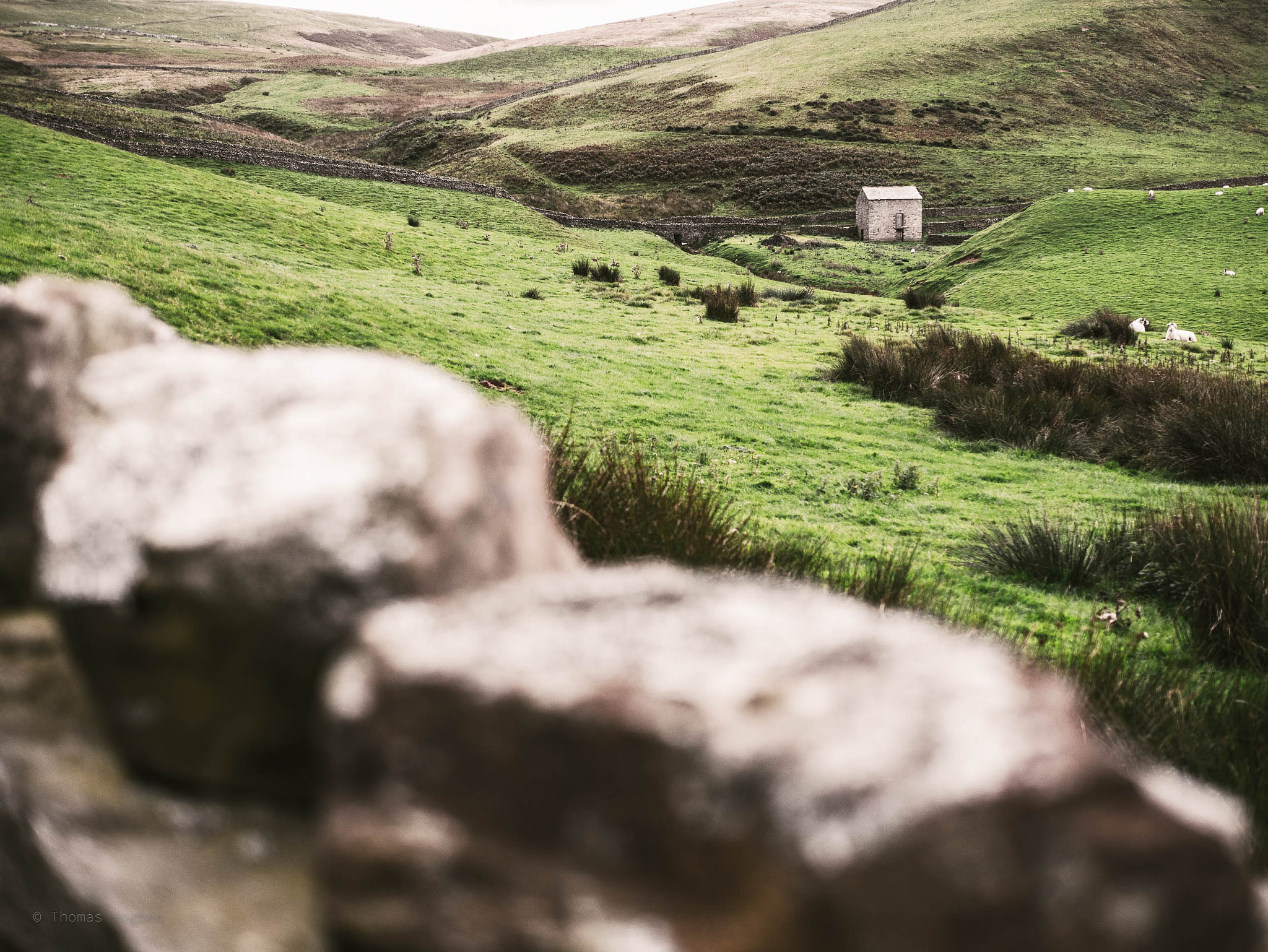 Panasonic Lumix DMC-GX85 (Lumix DMC-GX80 / Lumix DMC-GX7 Mark II) + Panasonic Leica DG Summilux 25mm F1.4 II ASPH sample photo. The house at high cup nick photography