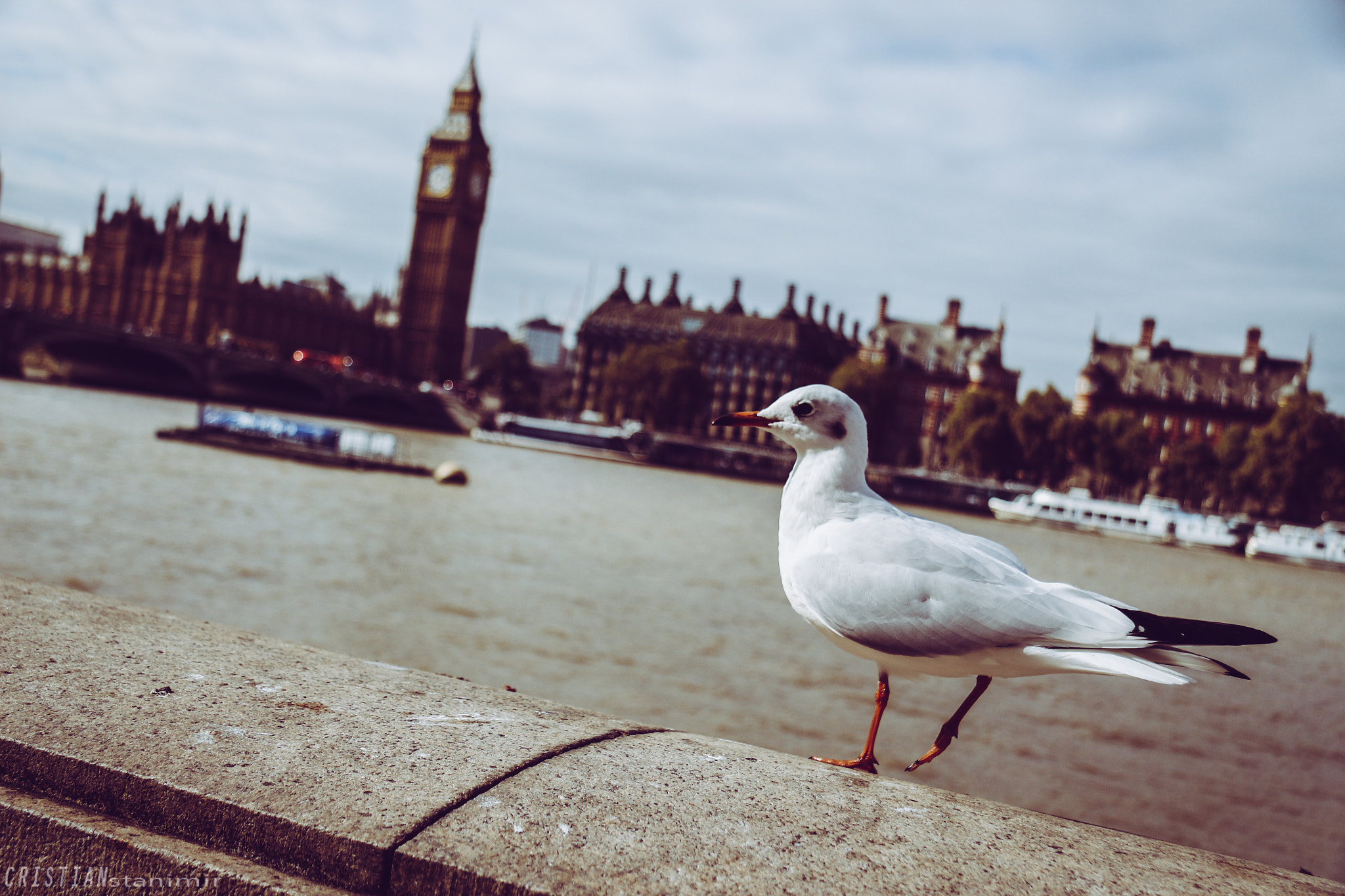 Canon EF-S 17-85mm F4-5.6 IS USM sample photo. London calling... photography