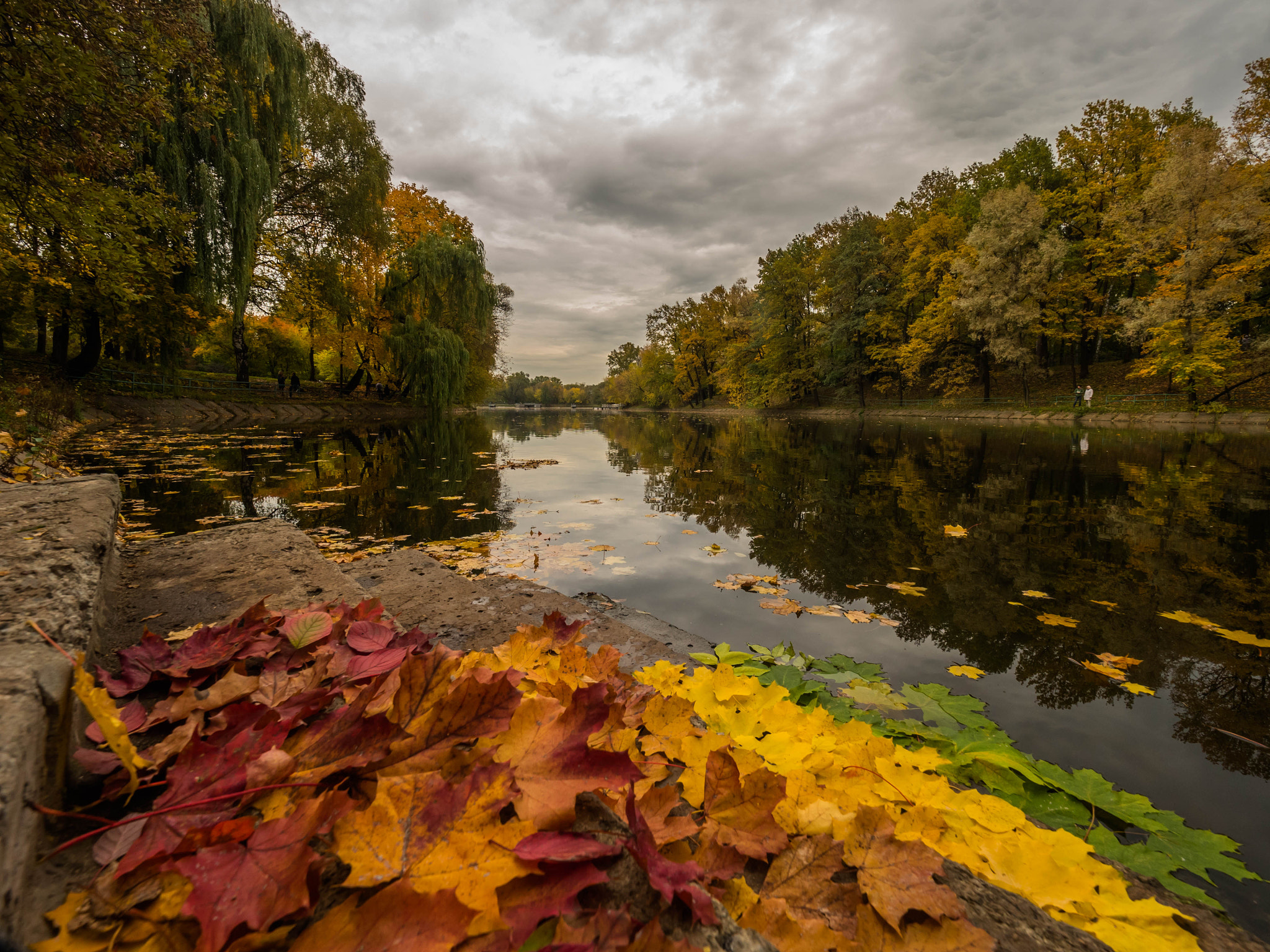 Panasonic Lumix DMC-GH4 + Olympus M.Zuiko Digital ED 7-14mm F2.8 PRO sample photo. Colors of autumn photography