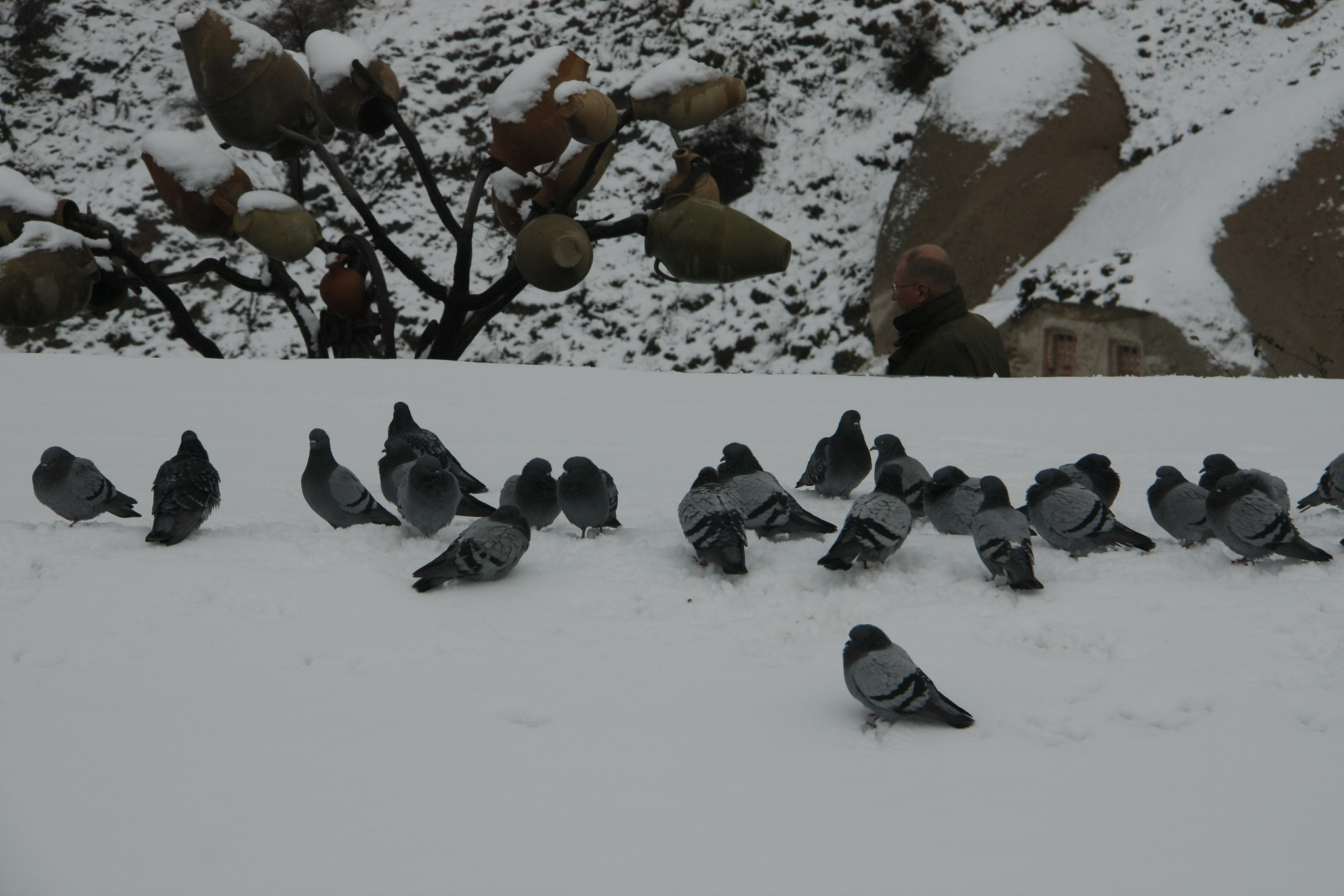 Canon EOS 450D (EOS Rebel XSi / EOS Kiss X2) sample photo. Cappadocia photography