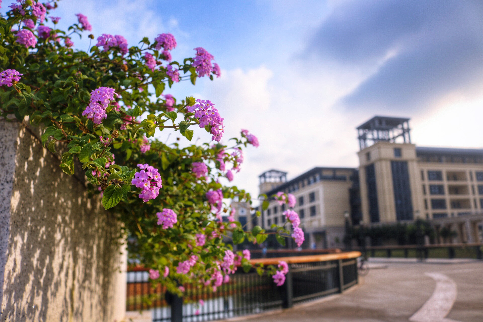 Canon EOS 760D (EOS Rebel T6s / EOS 8000D) sample photo. Autumn in my campus!! photography