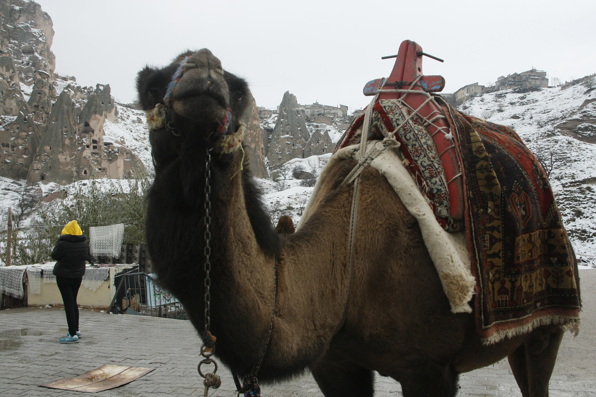 Canon EOS 450D (EOS Rebel XSi / EOS Kiss X2) sample photo. Cappadocia photography