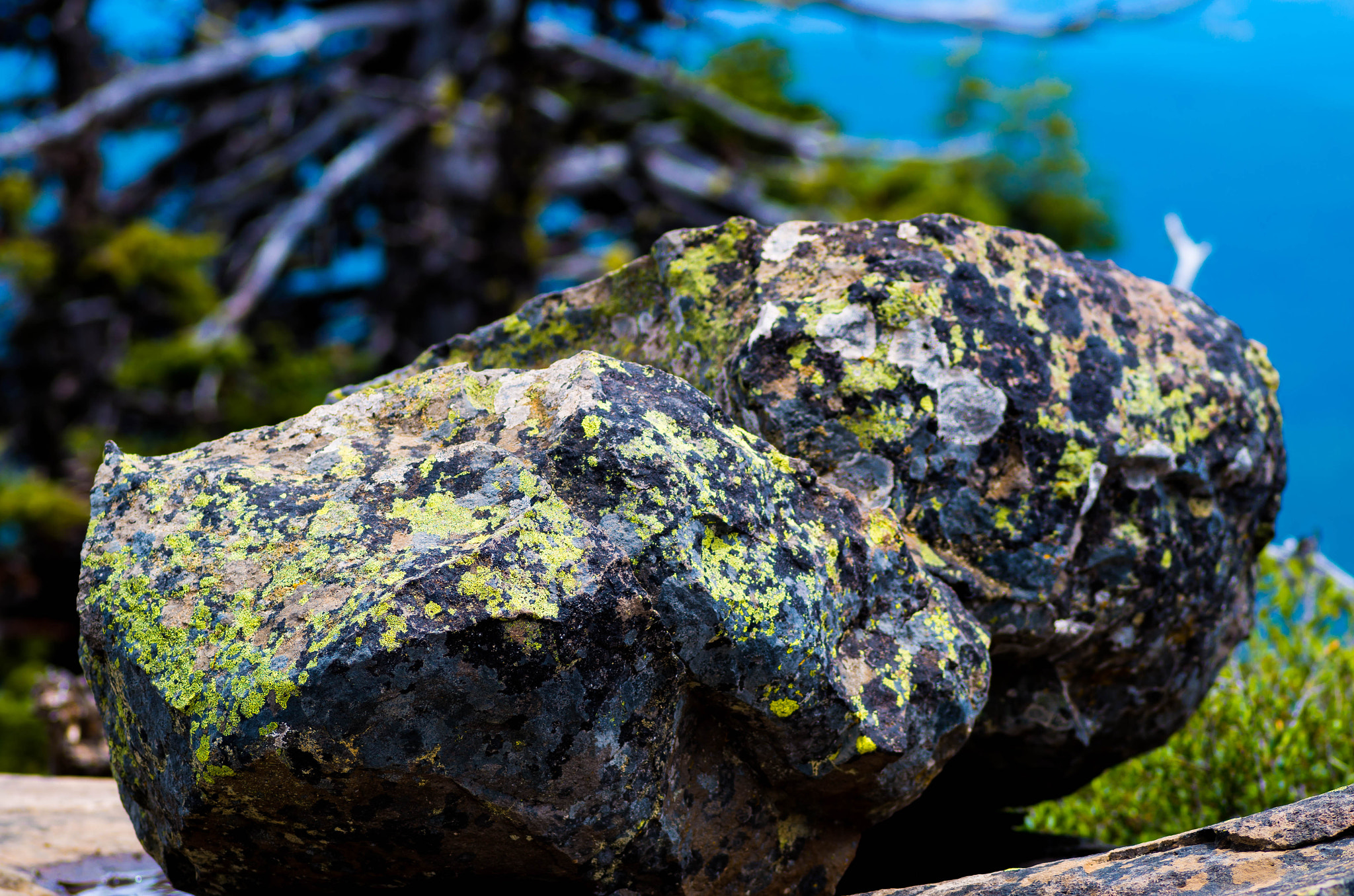 Pentax K-50 sample photo. Lichen this boulder photography
