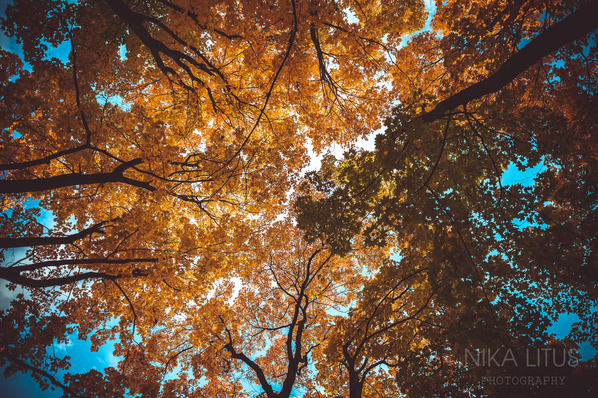 Canon EOS 5D Mark II sample photo. Autumn sky photography