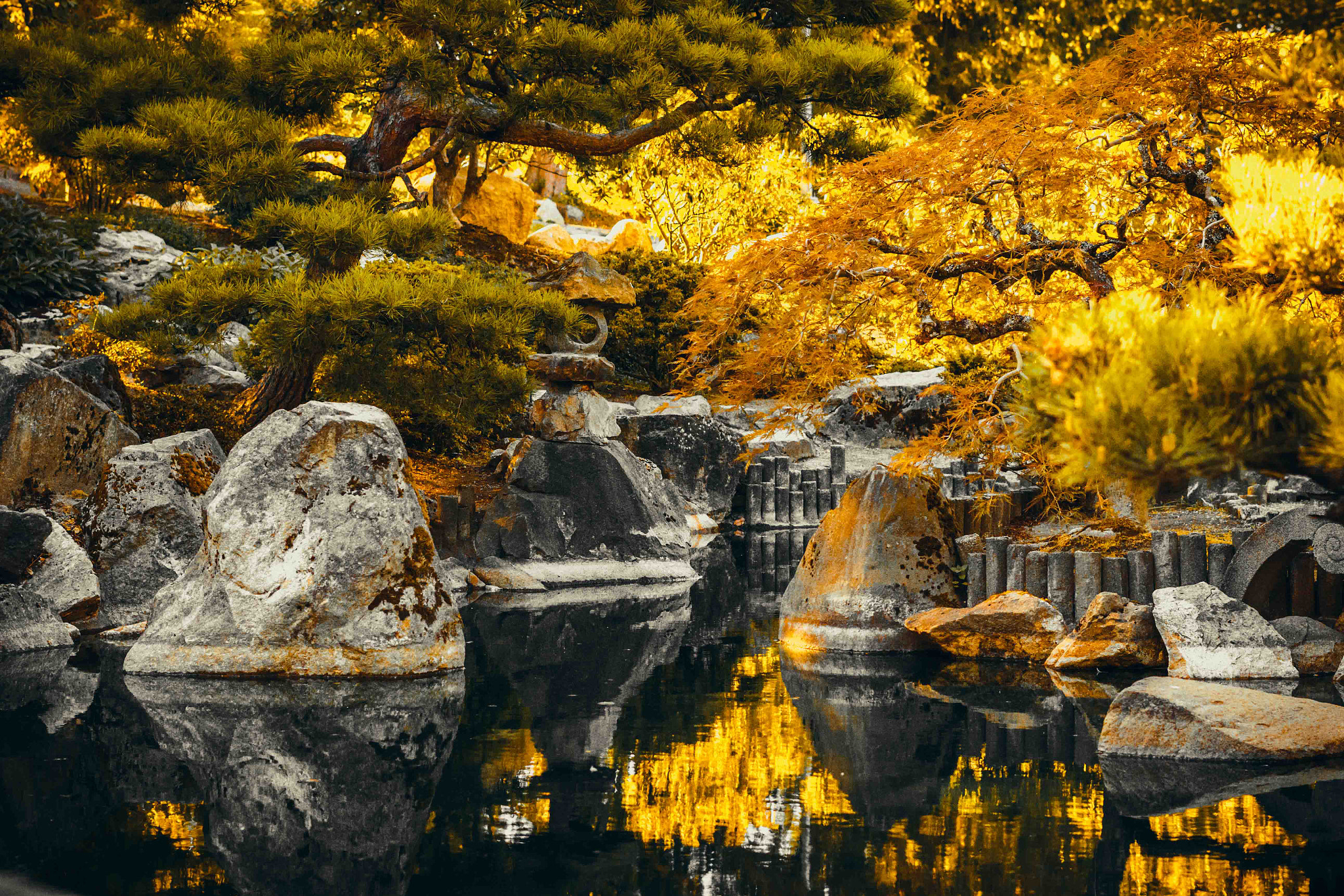 Sony a7R II + Sony FE 50mm F1.8 sample photo. Fall garden photography