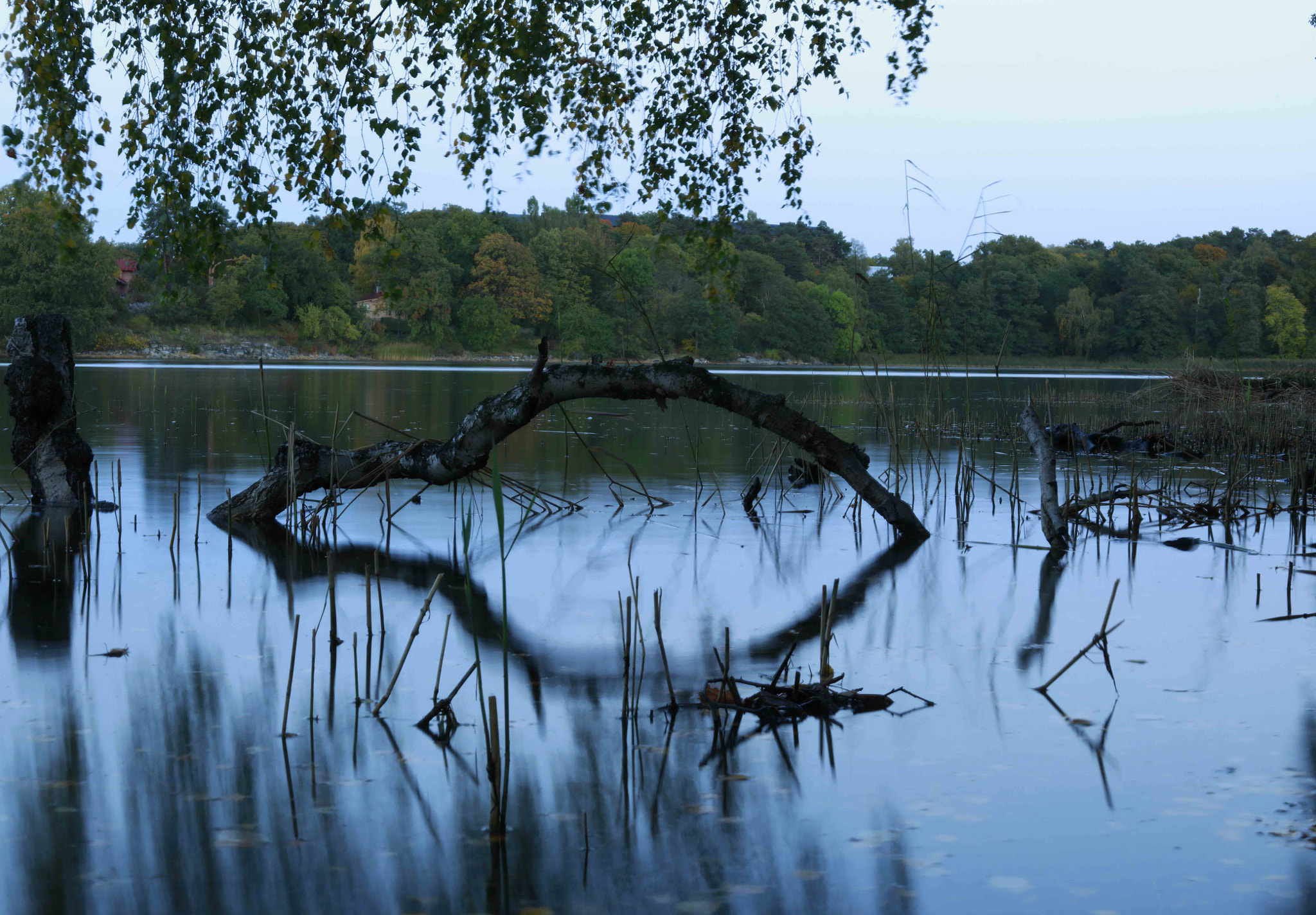 Canon EOS 5DS + Canon EF 50mm F1.8 STM sample photo. A photography