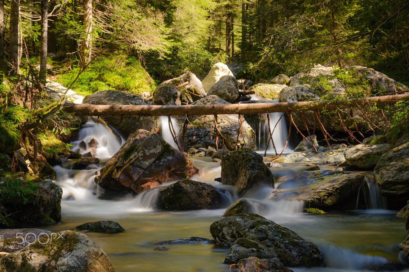 Sigma 17-70mm F2.8-4 DC Macro OS HSM | C sample photo. Golden stream photography
