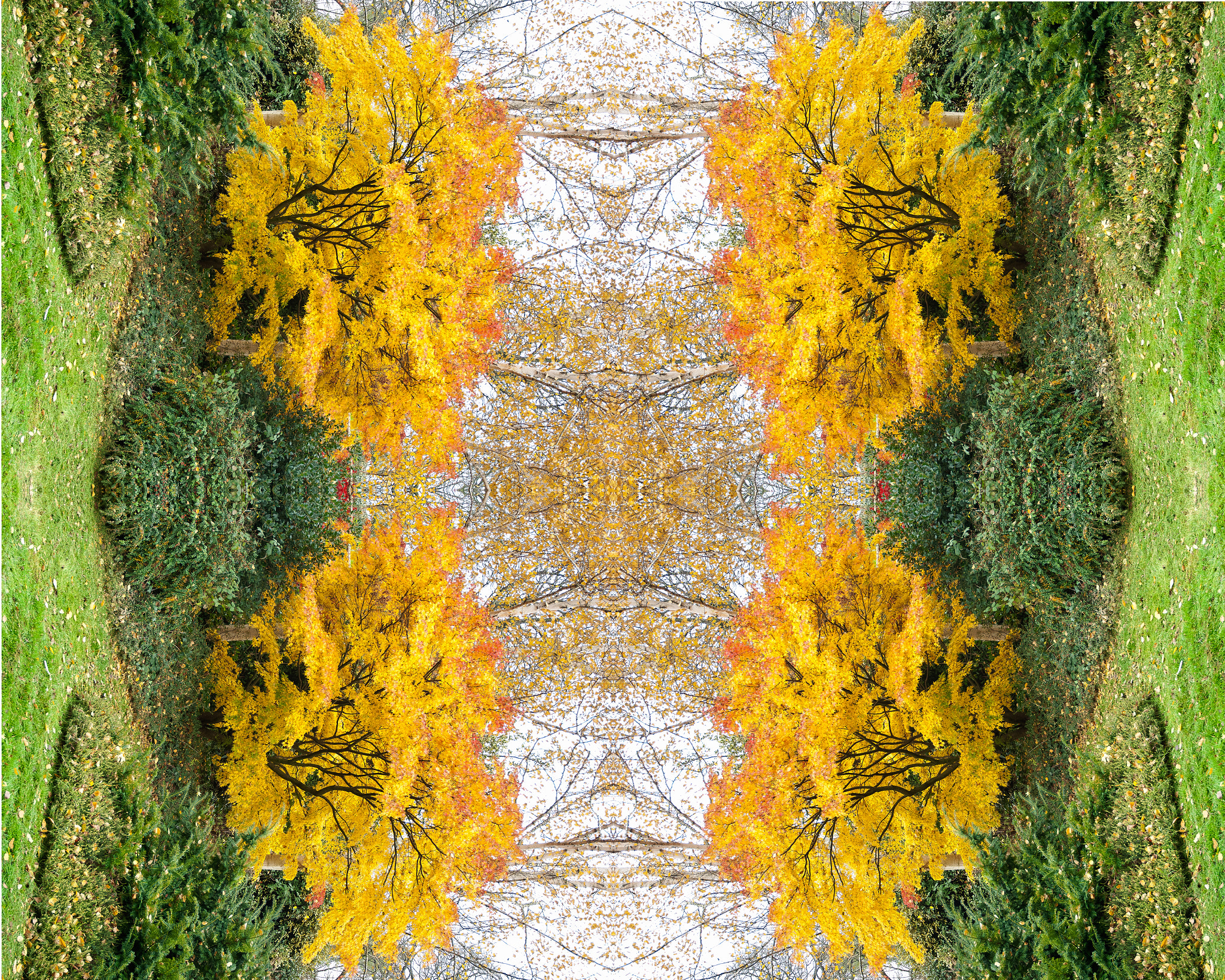 Nikon D2X sample photo. Kaleidoscope 1 photography
