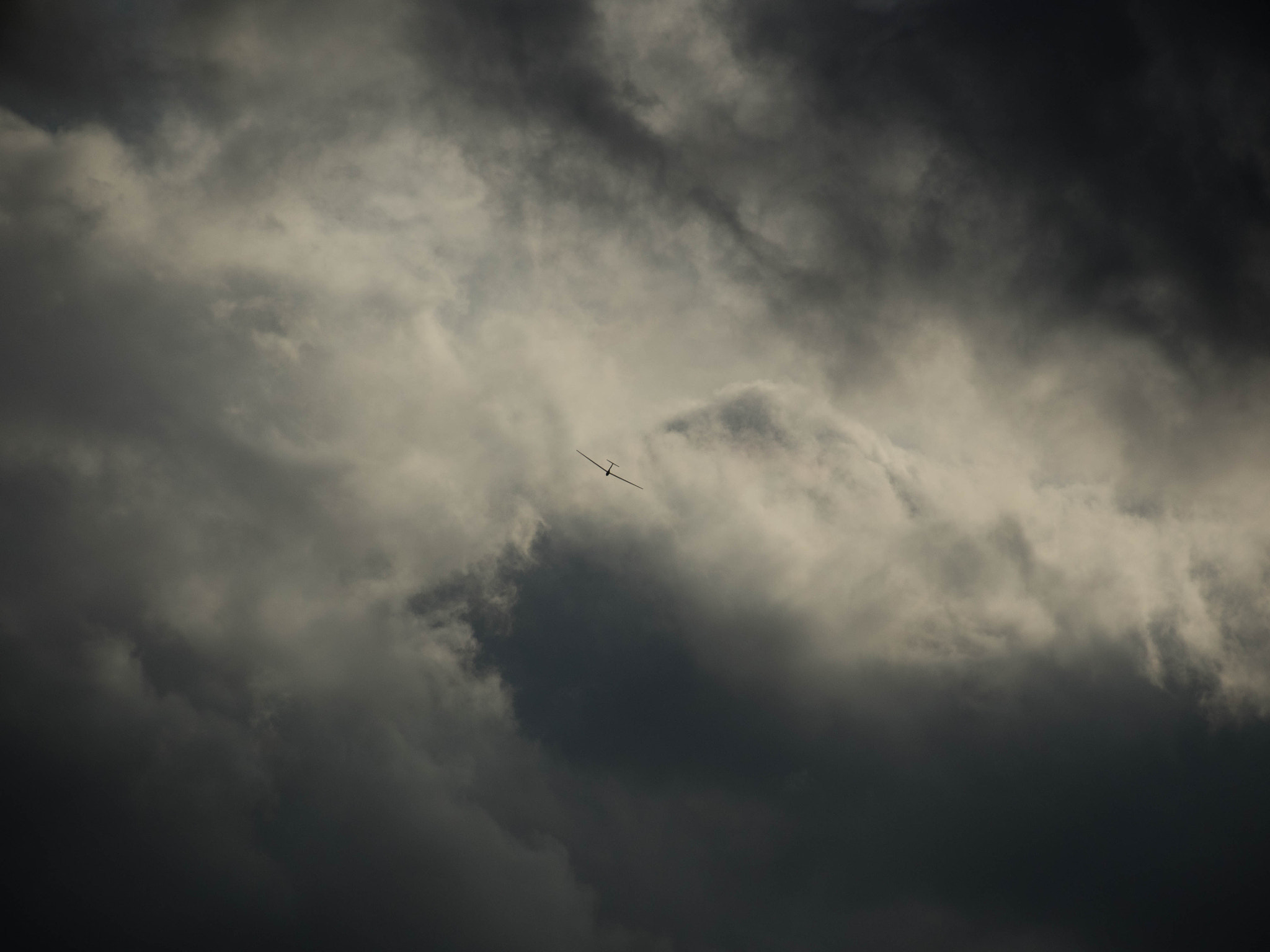 Olympus OM-D E-M1 sample photo. Alone in the sky photography