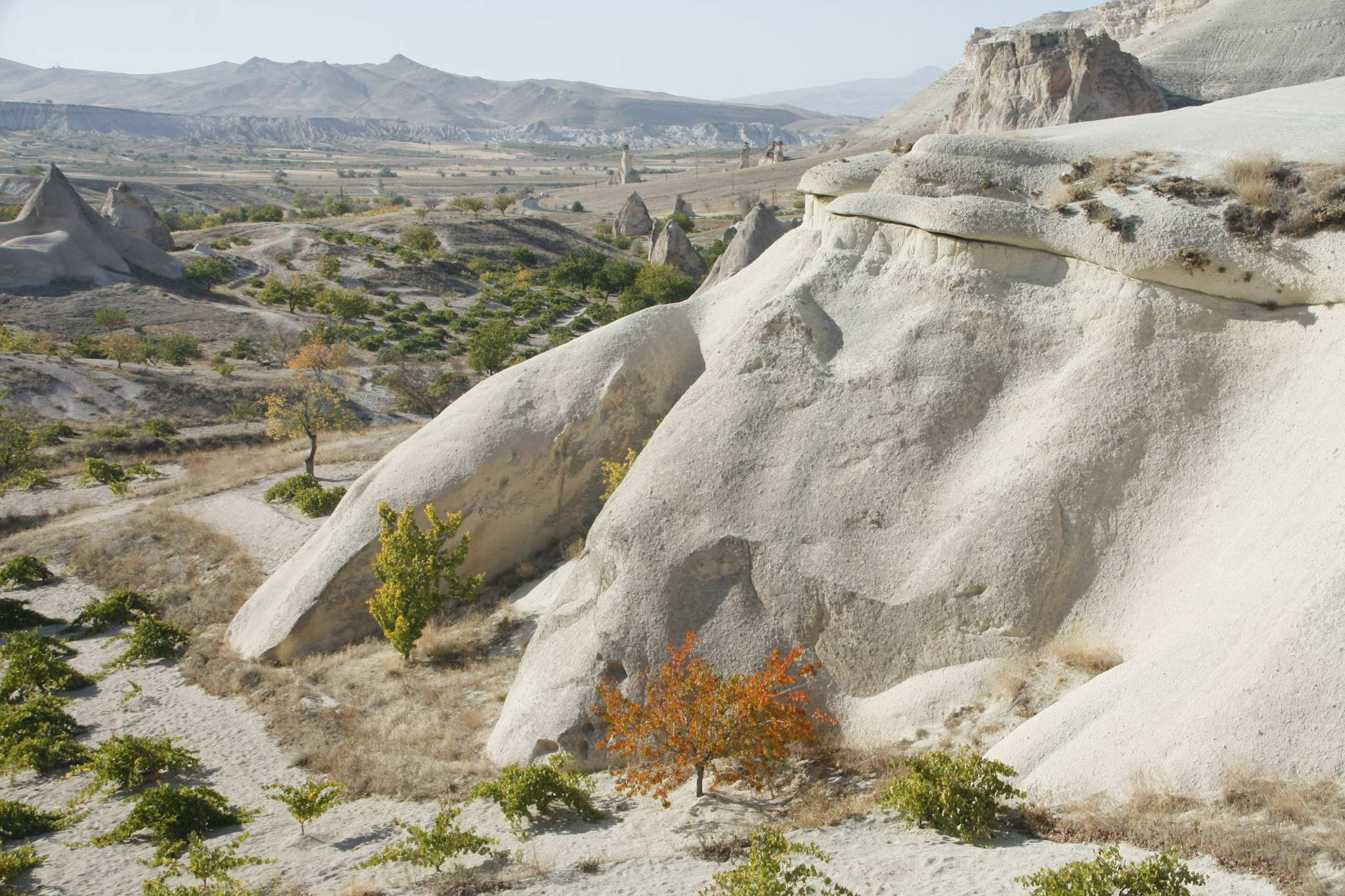 Canon EOS 450D (EOS Rebel XSi / EOS Kiss X2) sample photo. Cappadocia photography