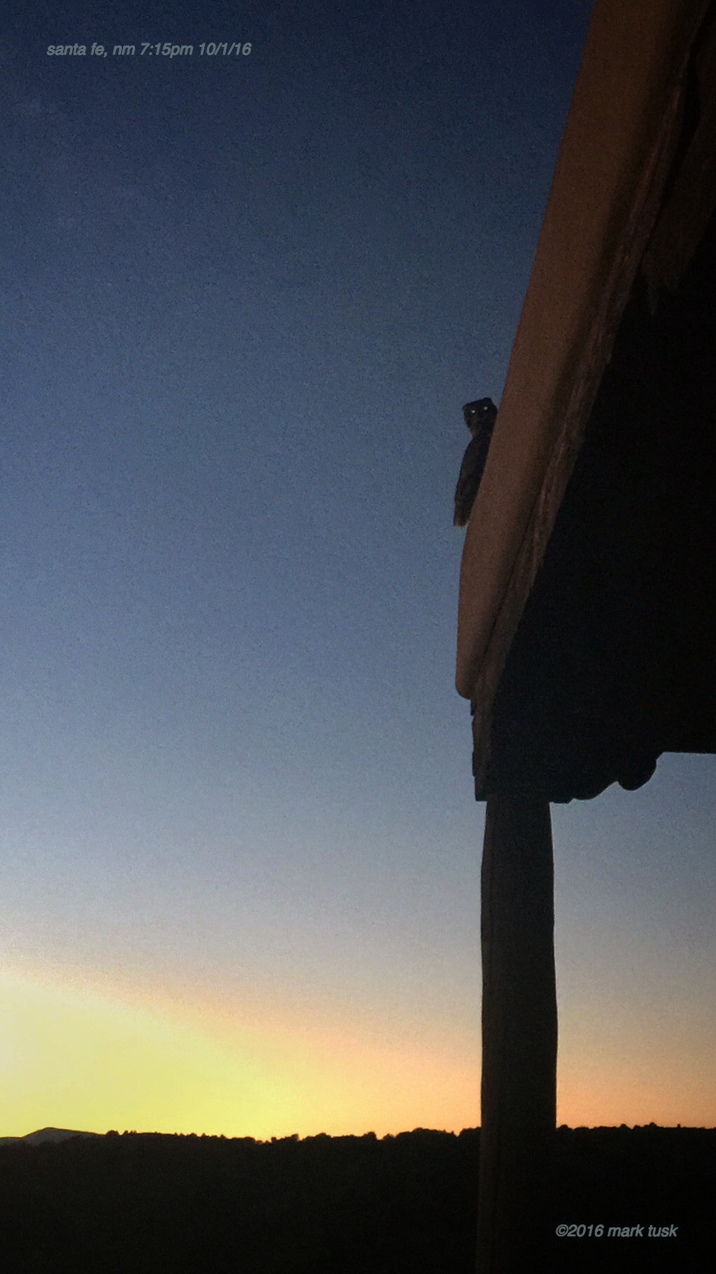 Apple iPhone7,1 sample photo. This #owl was easily 2' head to tail #santafe #newmexico captured with #camera+ beam on, no flash photography