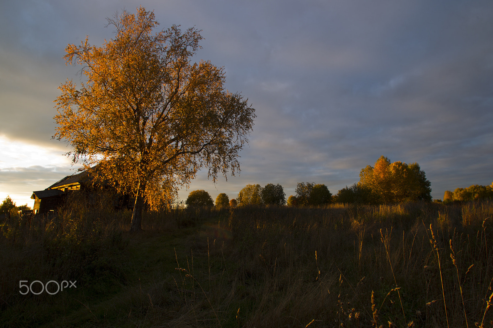 Canon EOS-1D Mark IV sample photo. Autumn landscape with a house and church photography