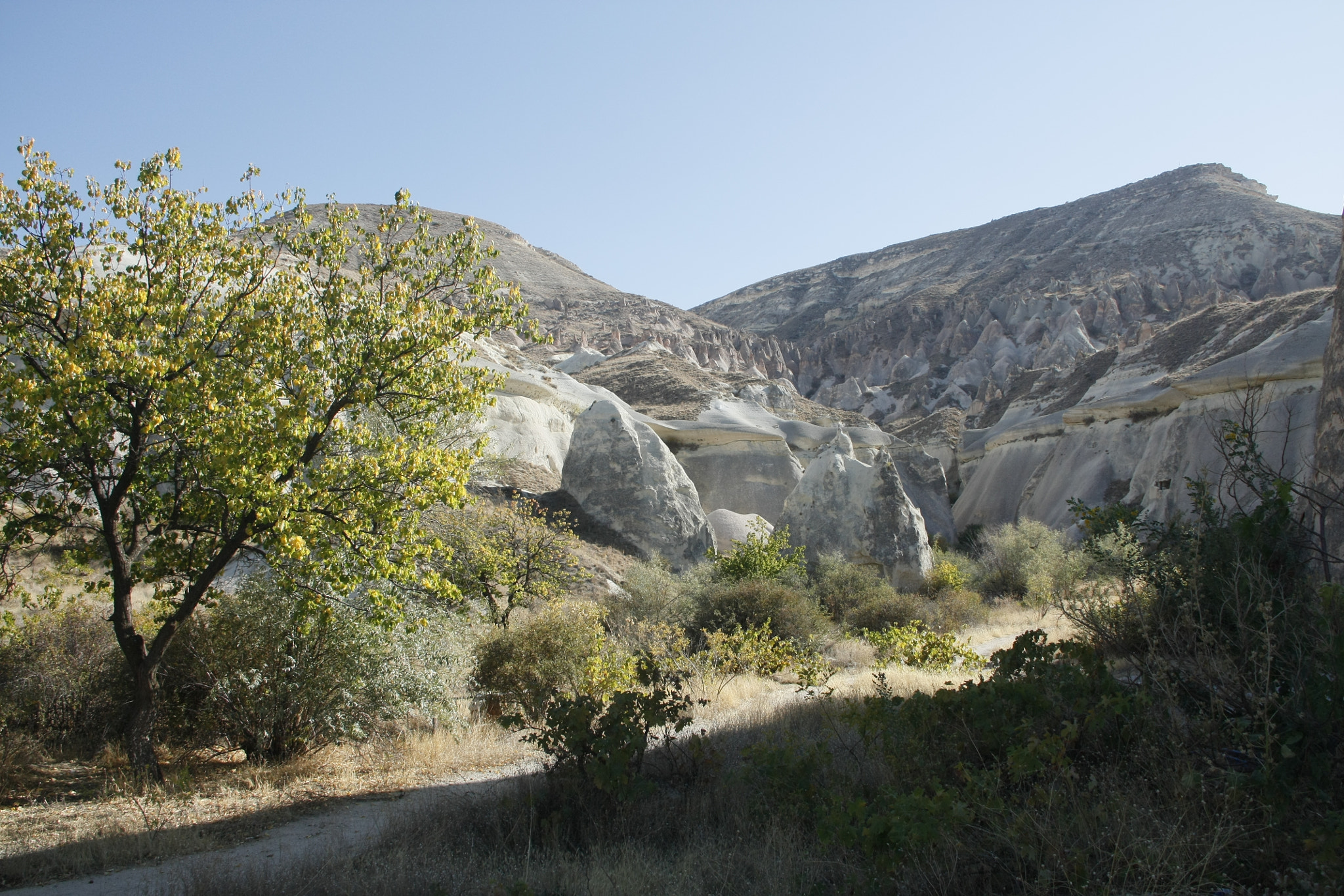 Canon EOS 450D (EOS Rebel XSi / EOS Kiss X2) sample photo. Cappadocia photography