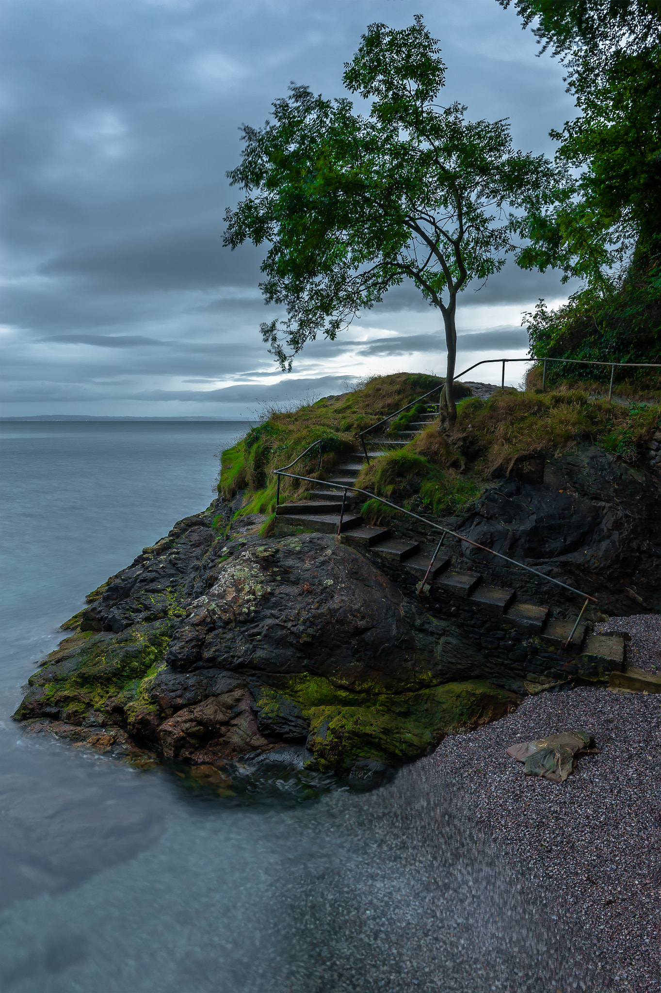 Nikon D3 sample photo. Stairway to the lonely tree photography