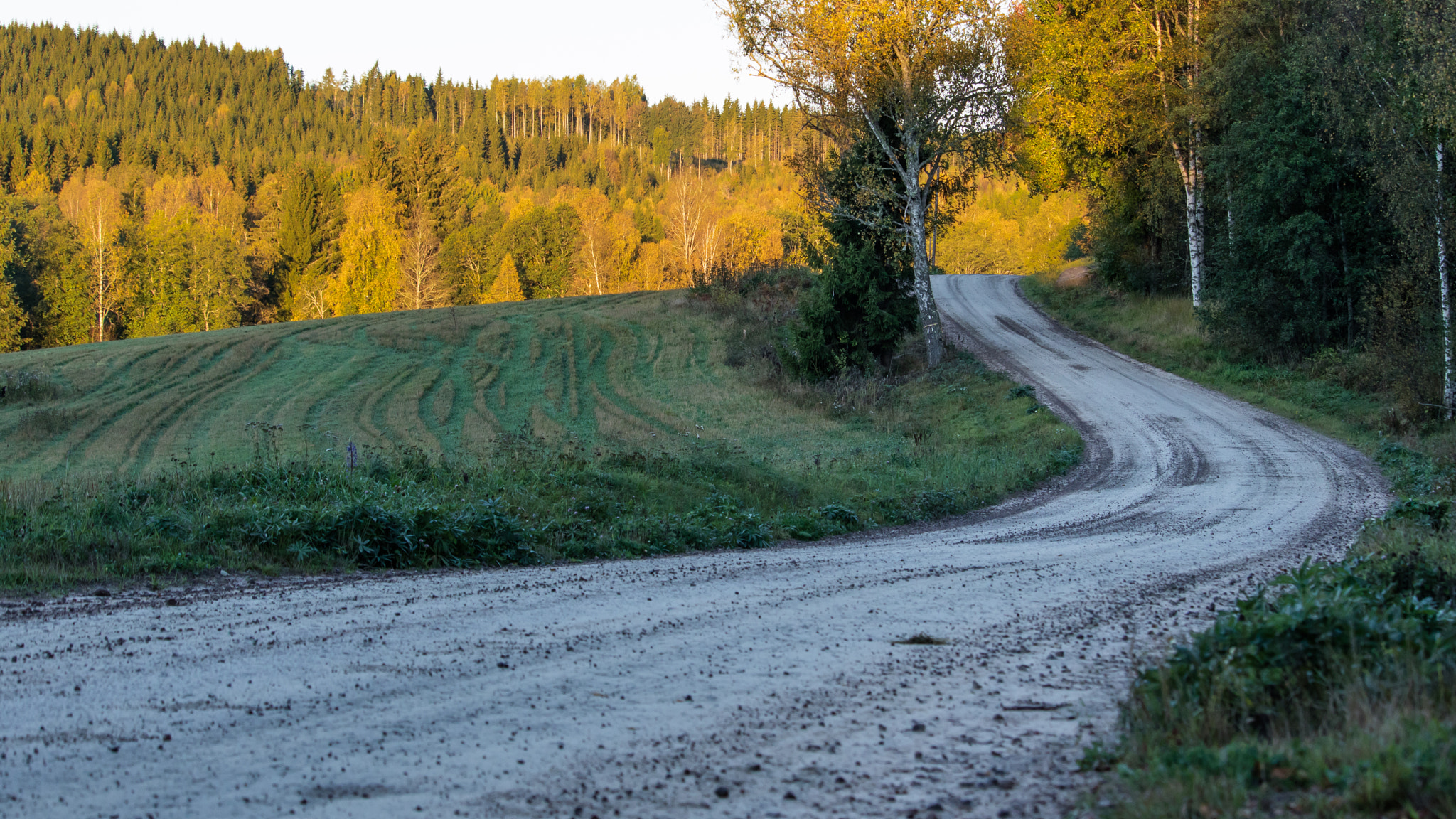 Canon EOS M3 sample photo. Autumn morning photography