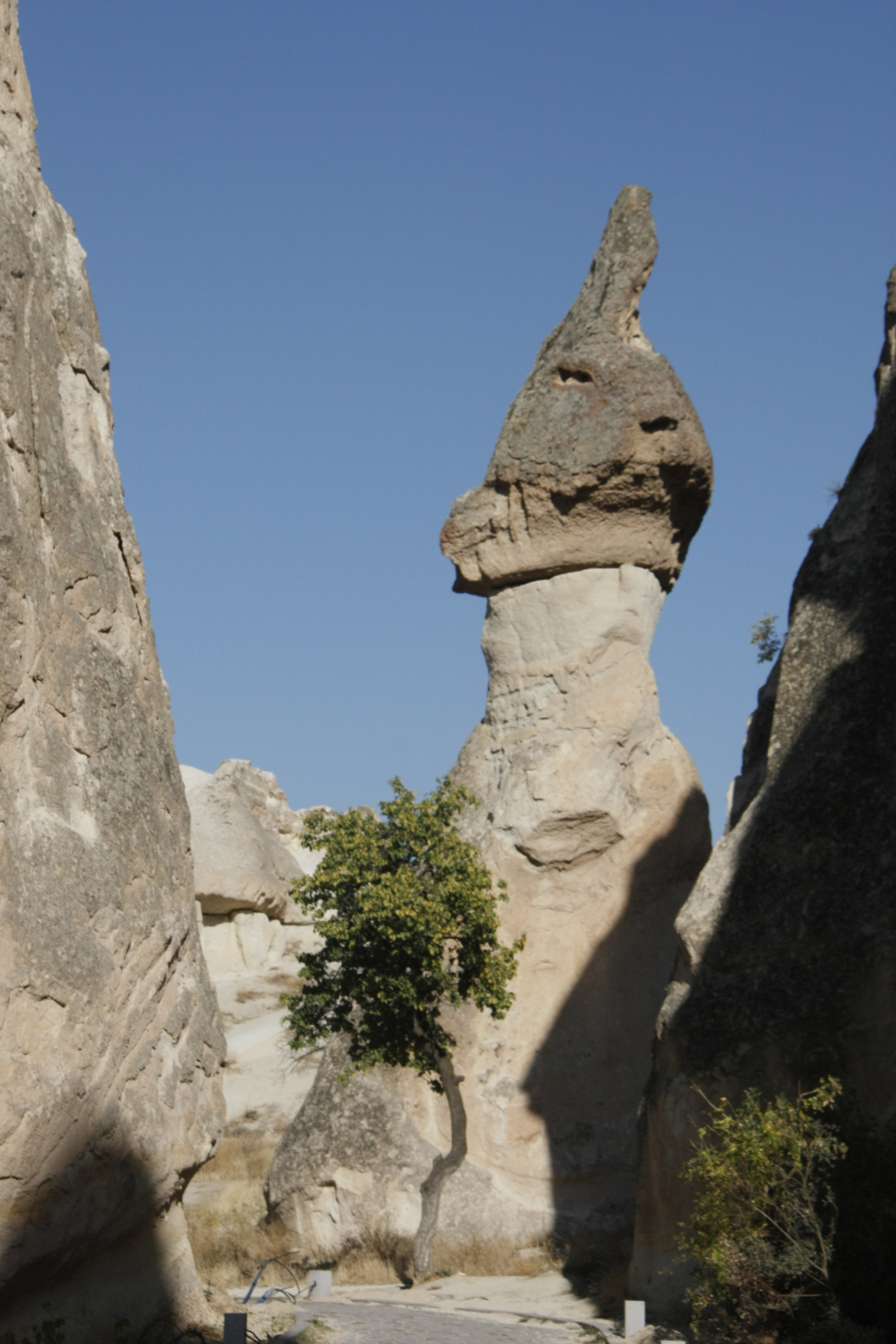 Canon EOS 450D (EOS Rebel XSi / EOS Kiss X2) sample photo. Cappadocia photography