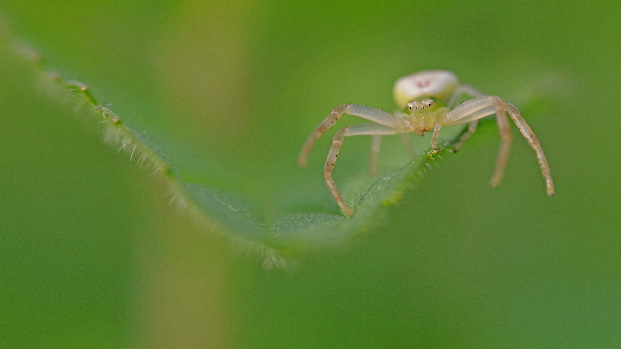 Pentax K-7 + Sigma sample photo. Thomise photography