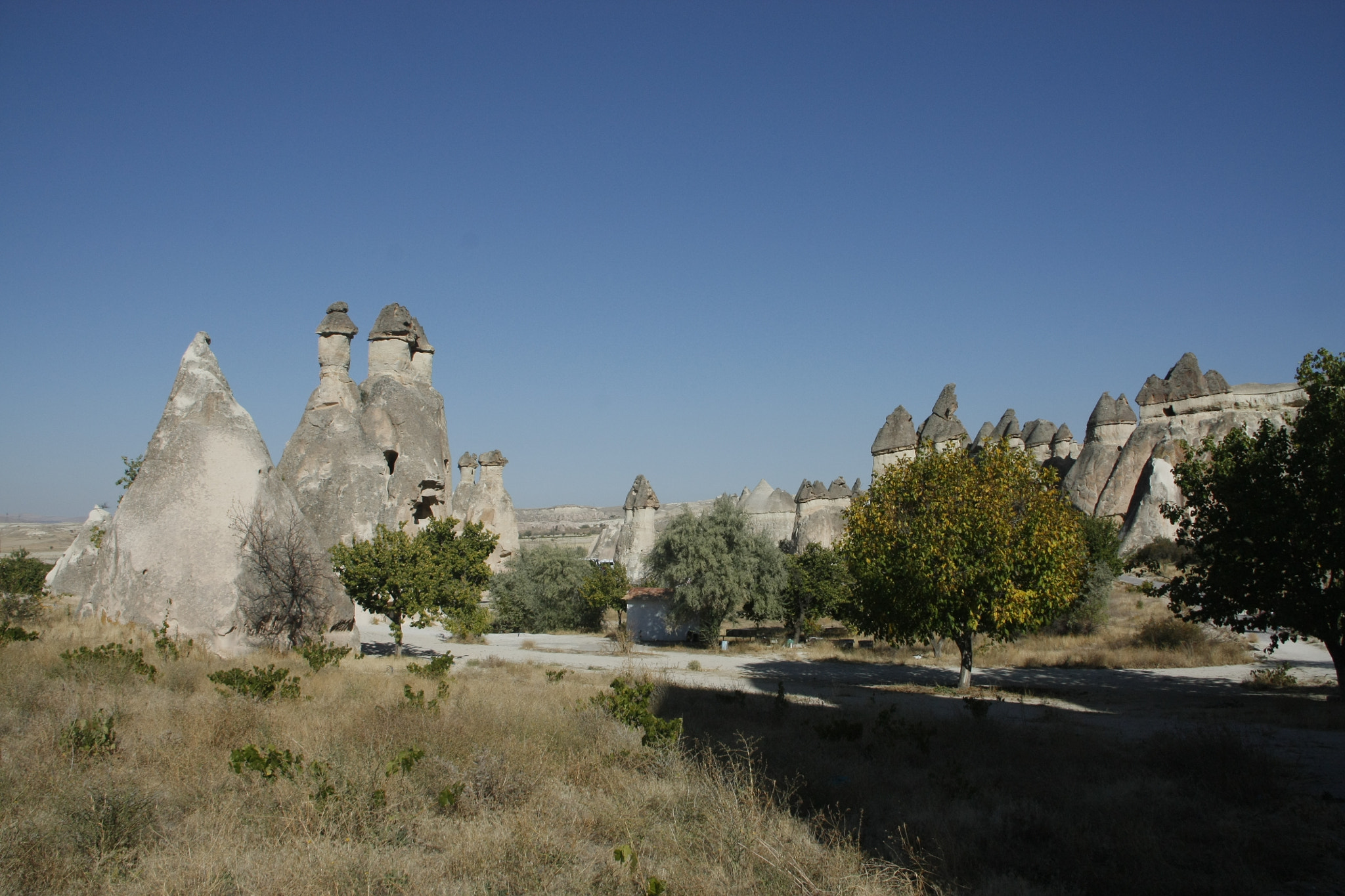 Canon EOS 450D (EOS Rebel XSi / EOS Kiss X2) sample photo. Cappadocia photography