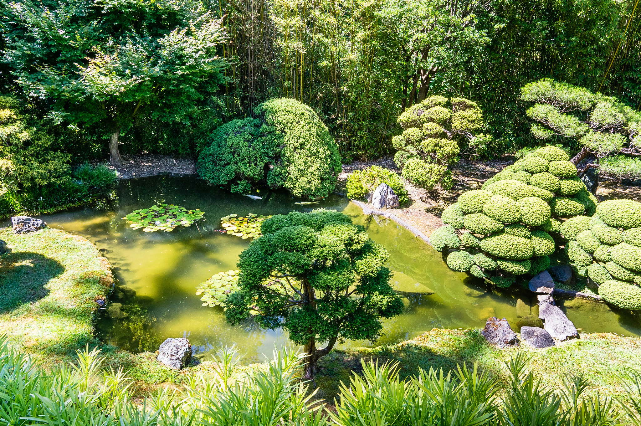 Sony Alpha NEX-5N + Sigma 19mm F2.8 EX DN sample photo. Japanese tea garden photography