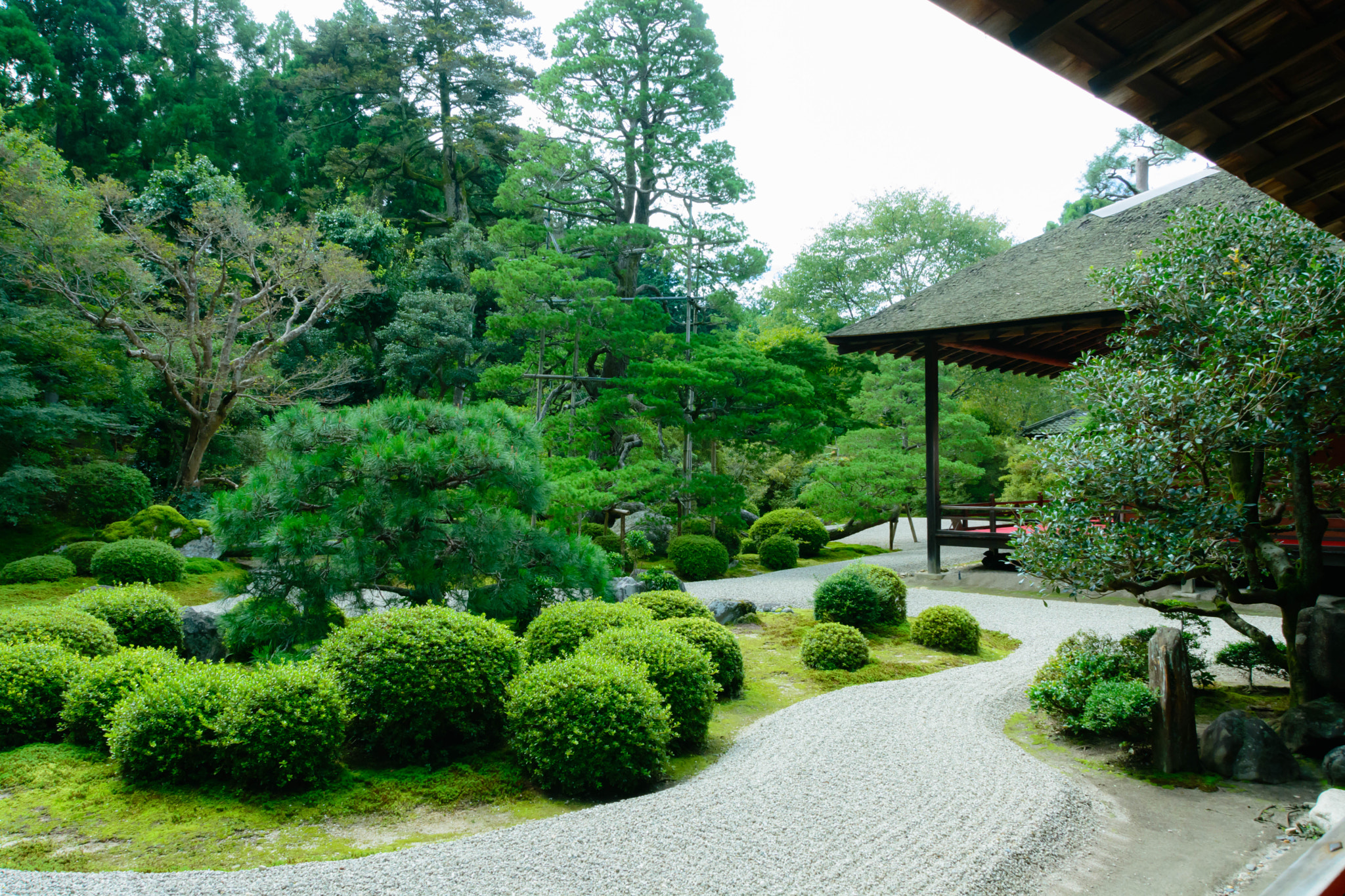 Sigma 18-200mm F3.5-6.3 II DC OS HSM sample photo. 曼殊院庭園 photography