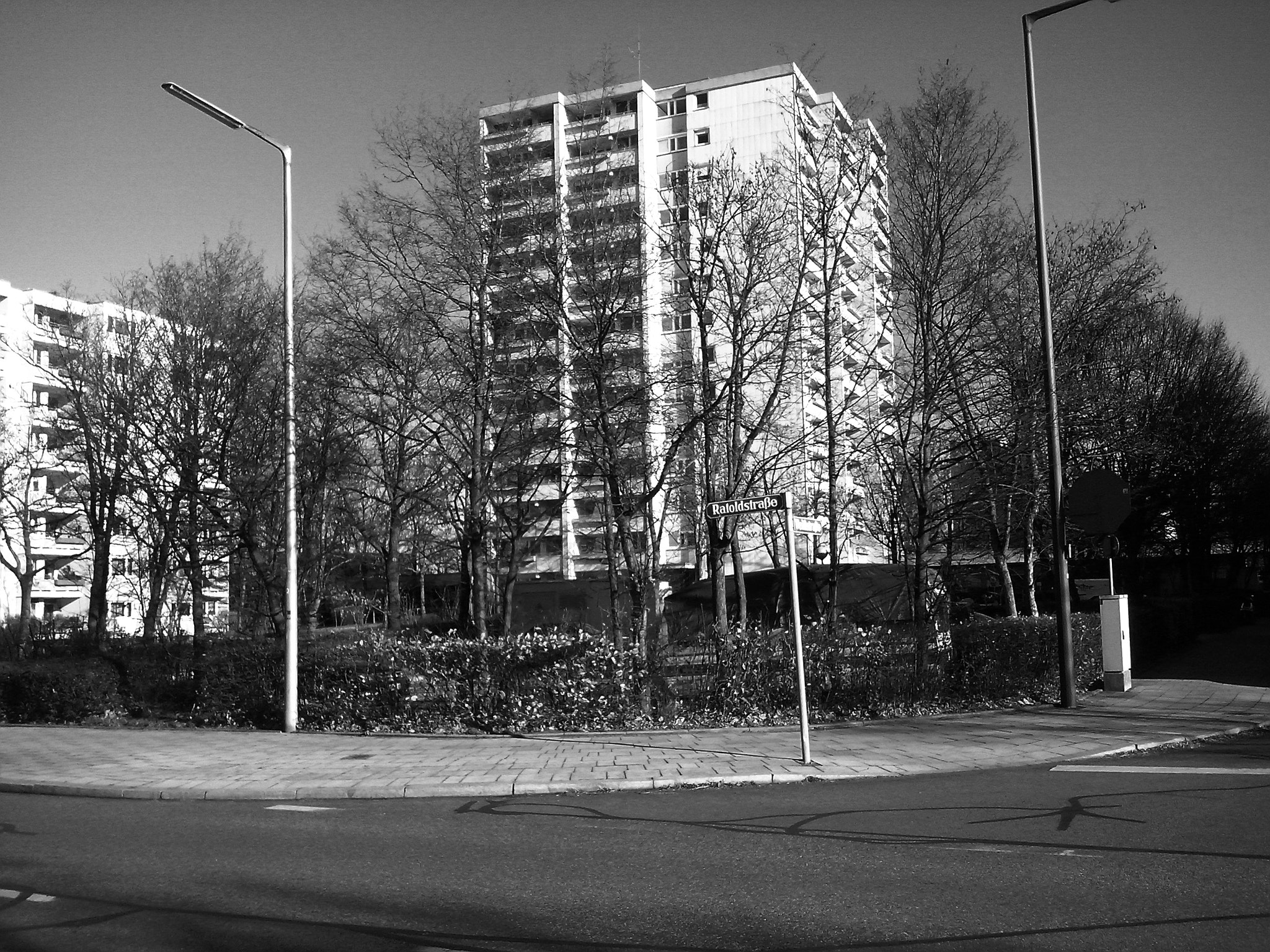 LG OPTIMUS L5 II sample photo