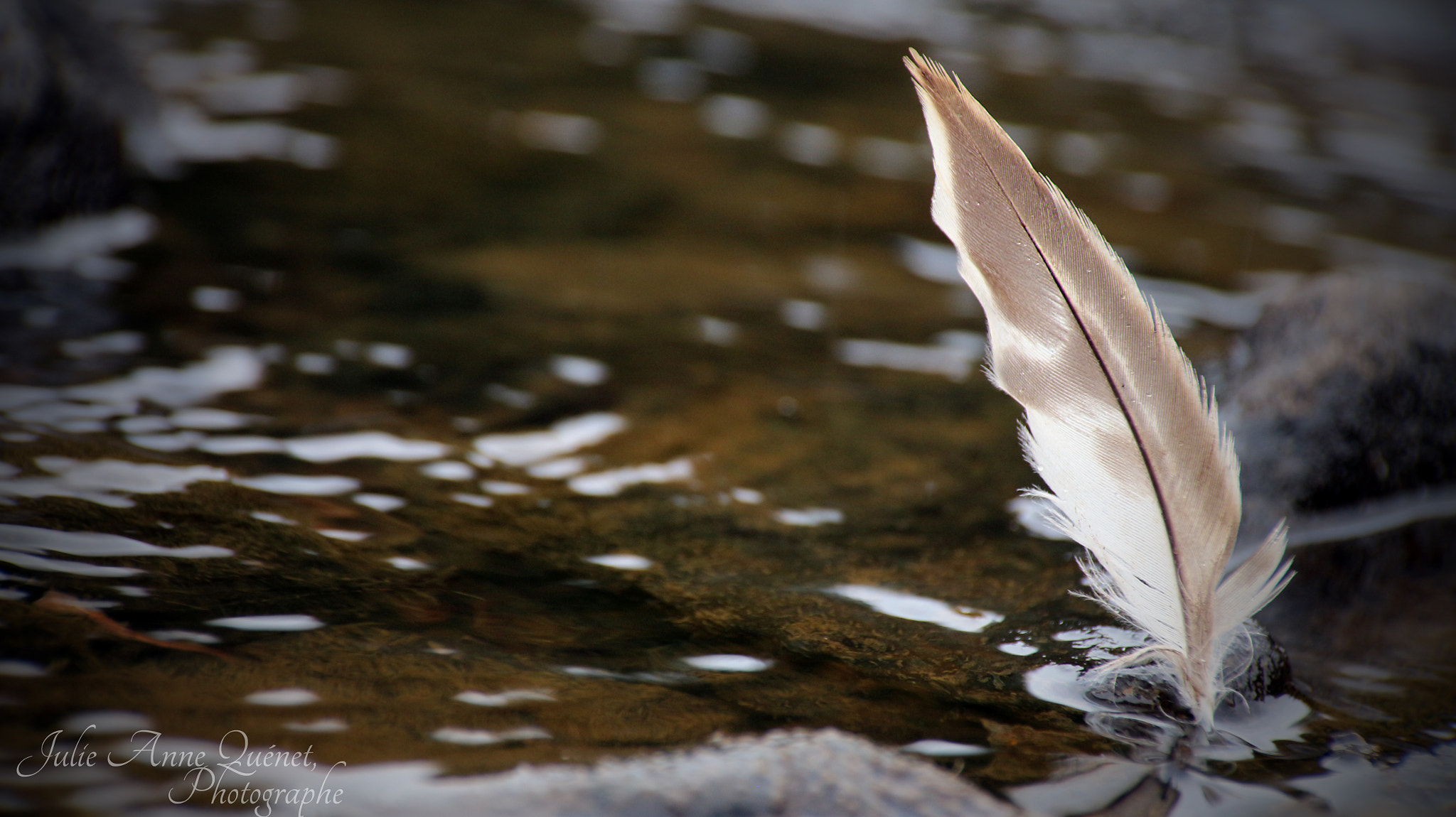 Sigma 18-250mm F3.5-6.3 DC OS HSM sample photo. Plume d'eau photography