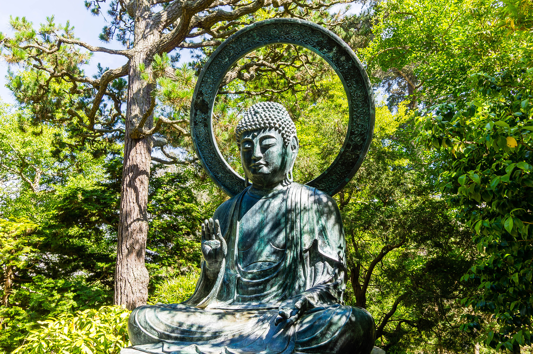 Sony Alpha NEX-5N + Sigma 19mm F2.8 EX DN sample photo. Buddha photography