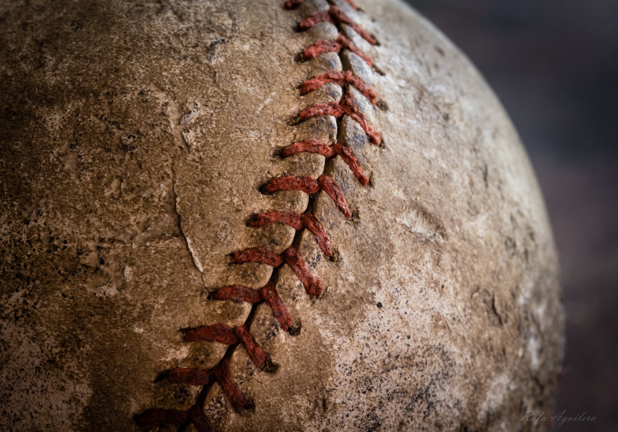 Sigma 105mm F2.8 EX DG OS HSM sample photo. Play ball photography