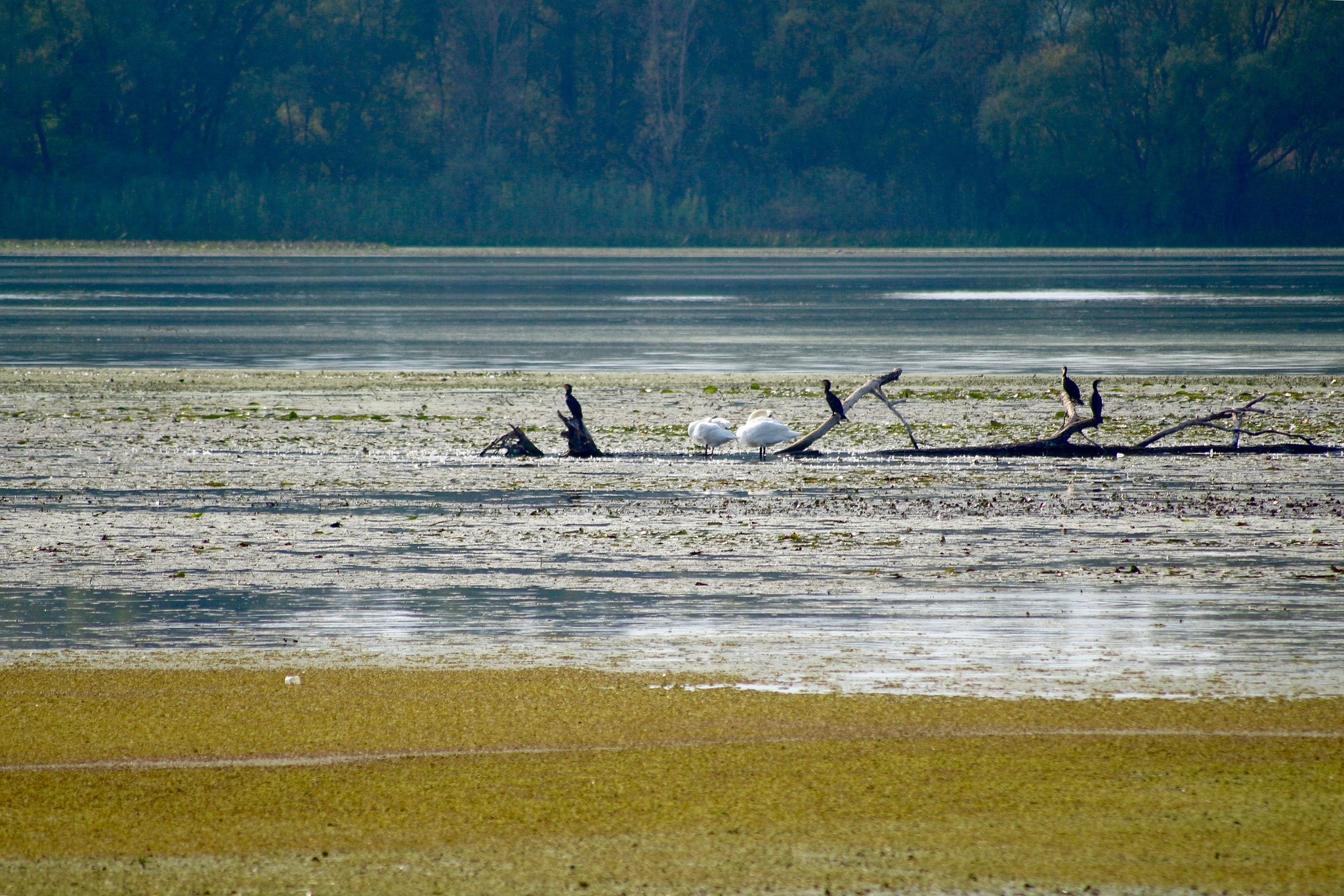 Canon EOS 700D (EOS Rebel T5i / EOS Kiss X7i) + Canon 70-300mm sample photo. I love you just the way you are photography
