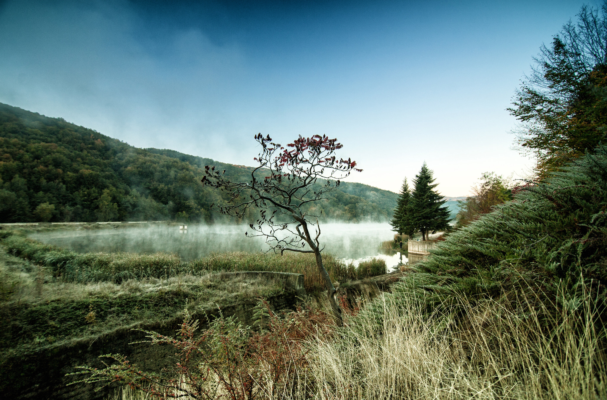 Canon EOS 5D sample photo. Frozen photography