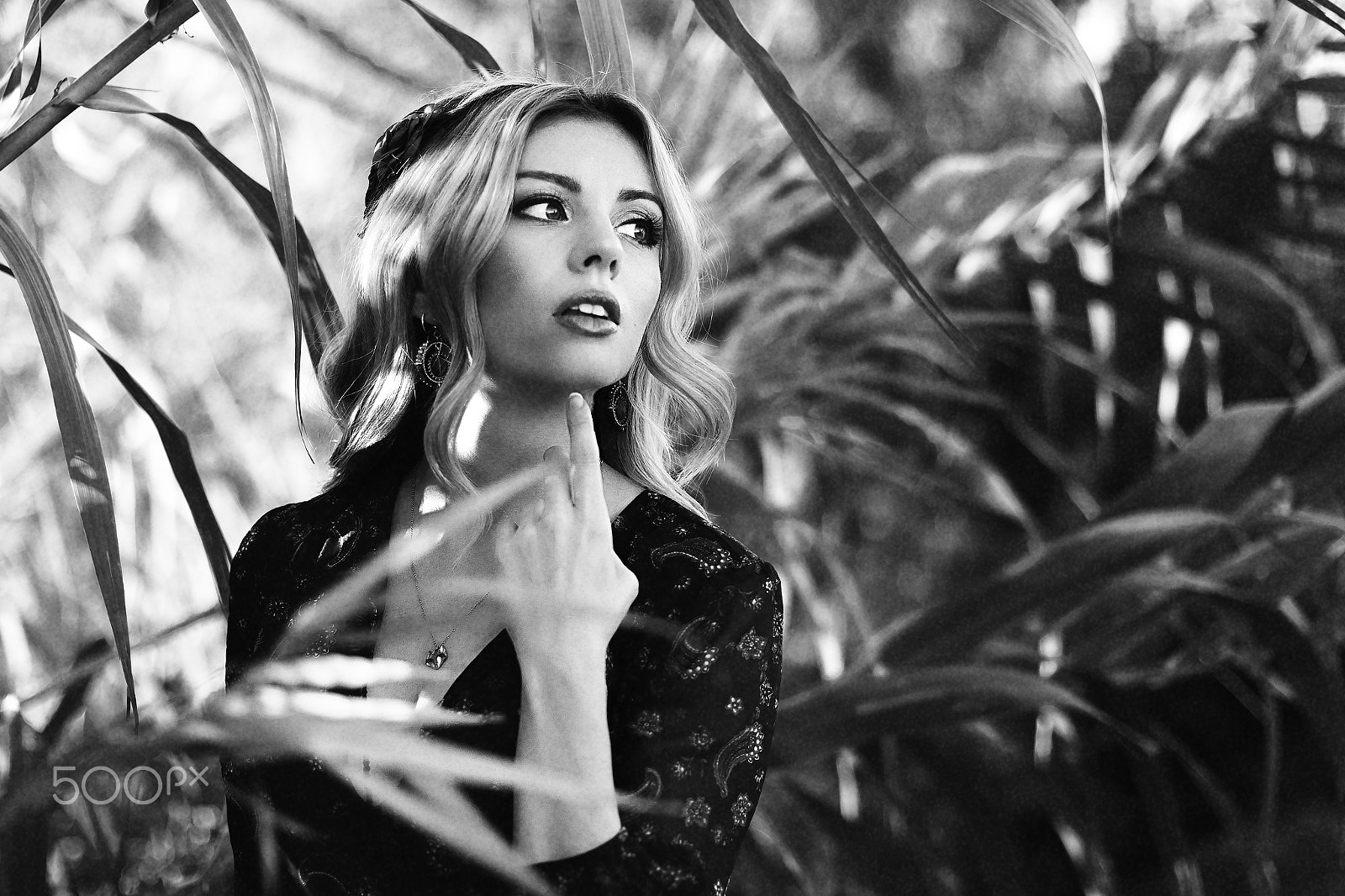 Canon EF 50mm F1.2L USM sample photo. B&w photography