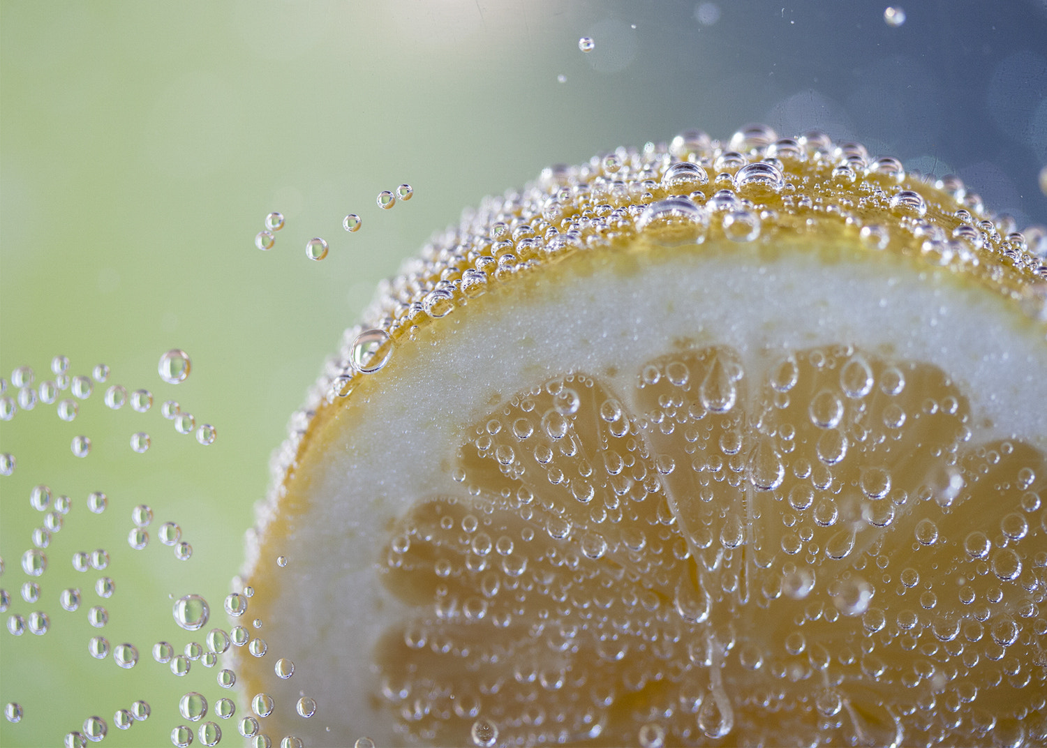 Canon EF-S 60mm F2.8 Macro USM sample photo. Lemons photography