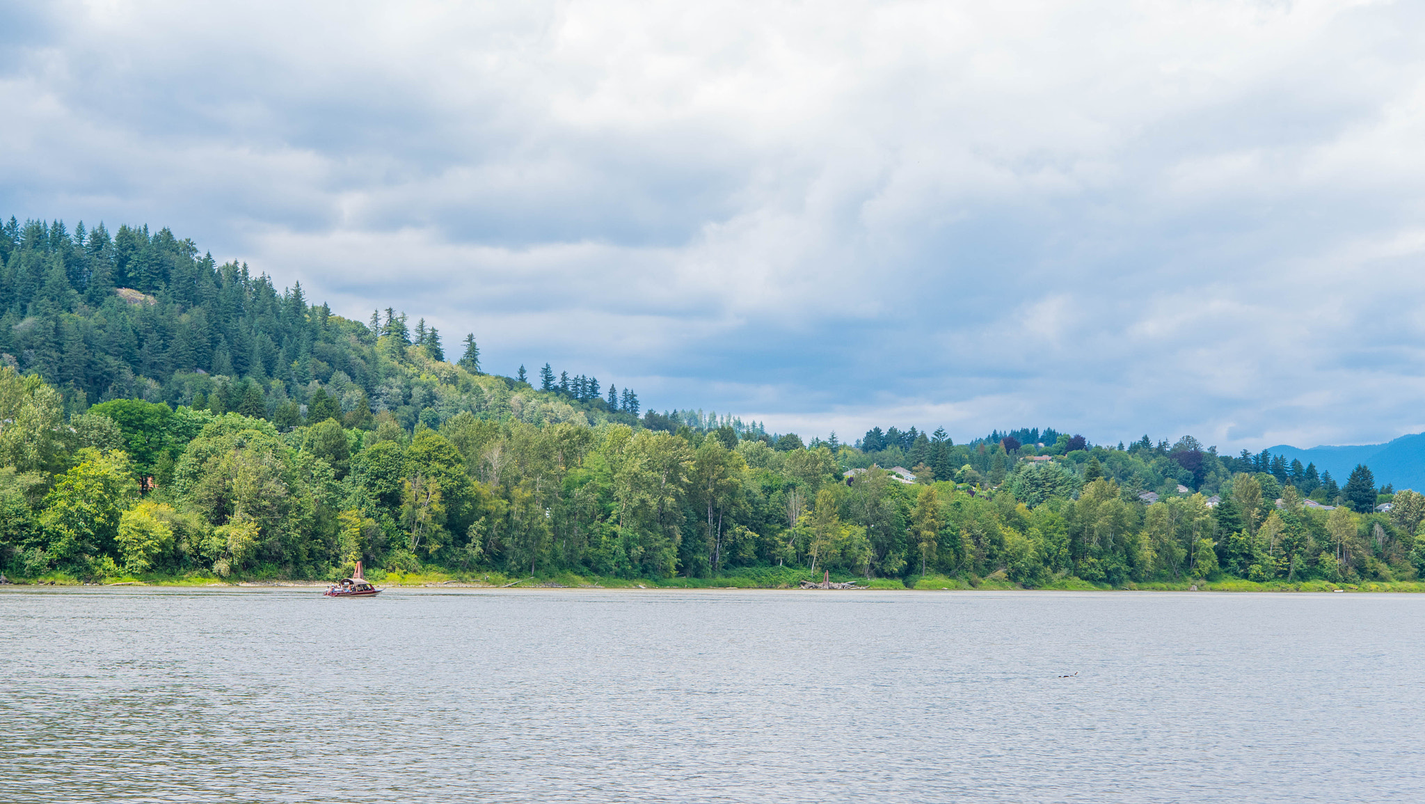 Panasonic Lumix DMC-GX8 sample photo. Fraser river photography