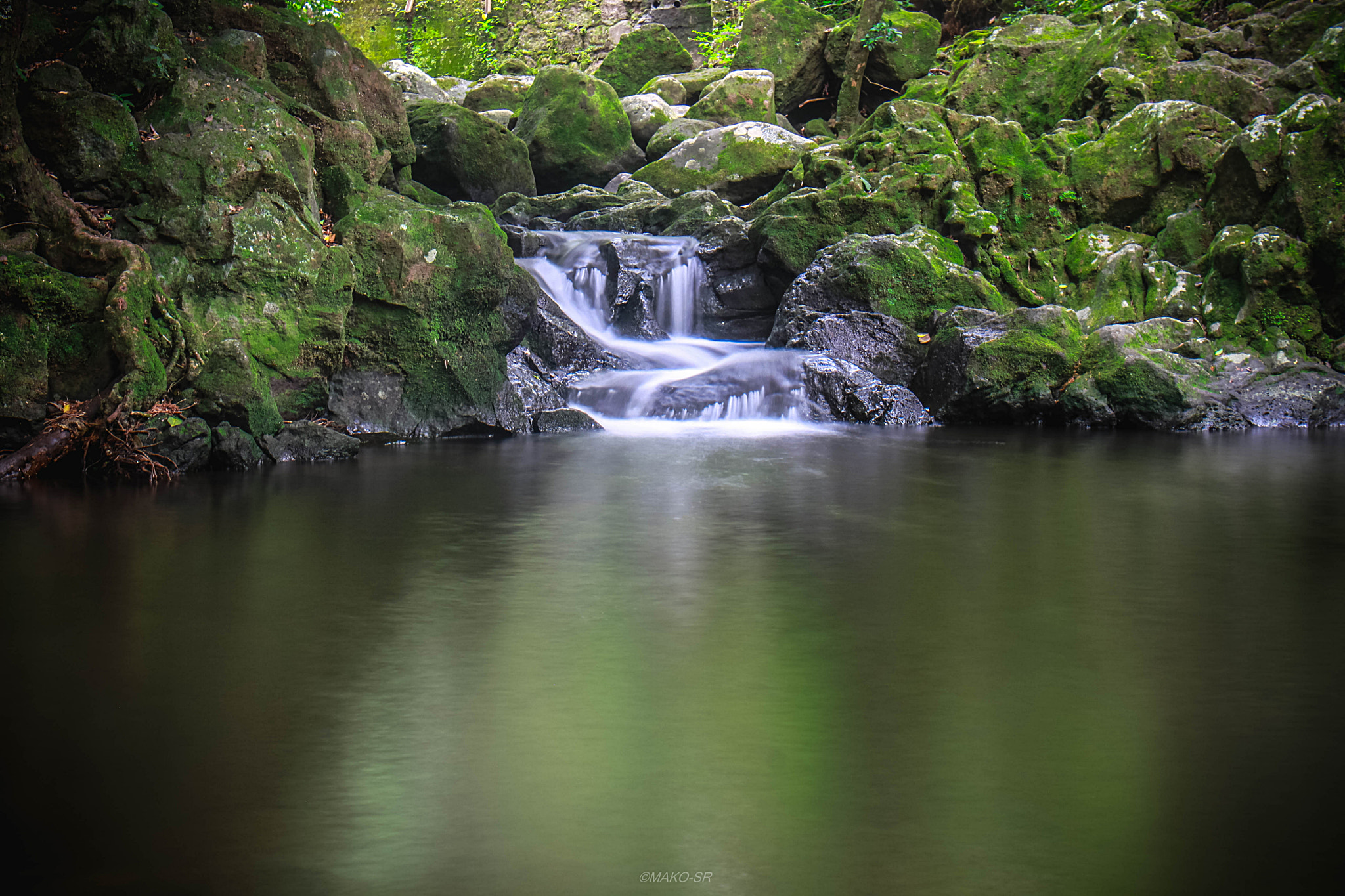Canon EOS 7D sample photo. Entre verde y agua photography