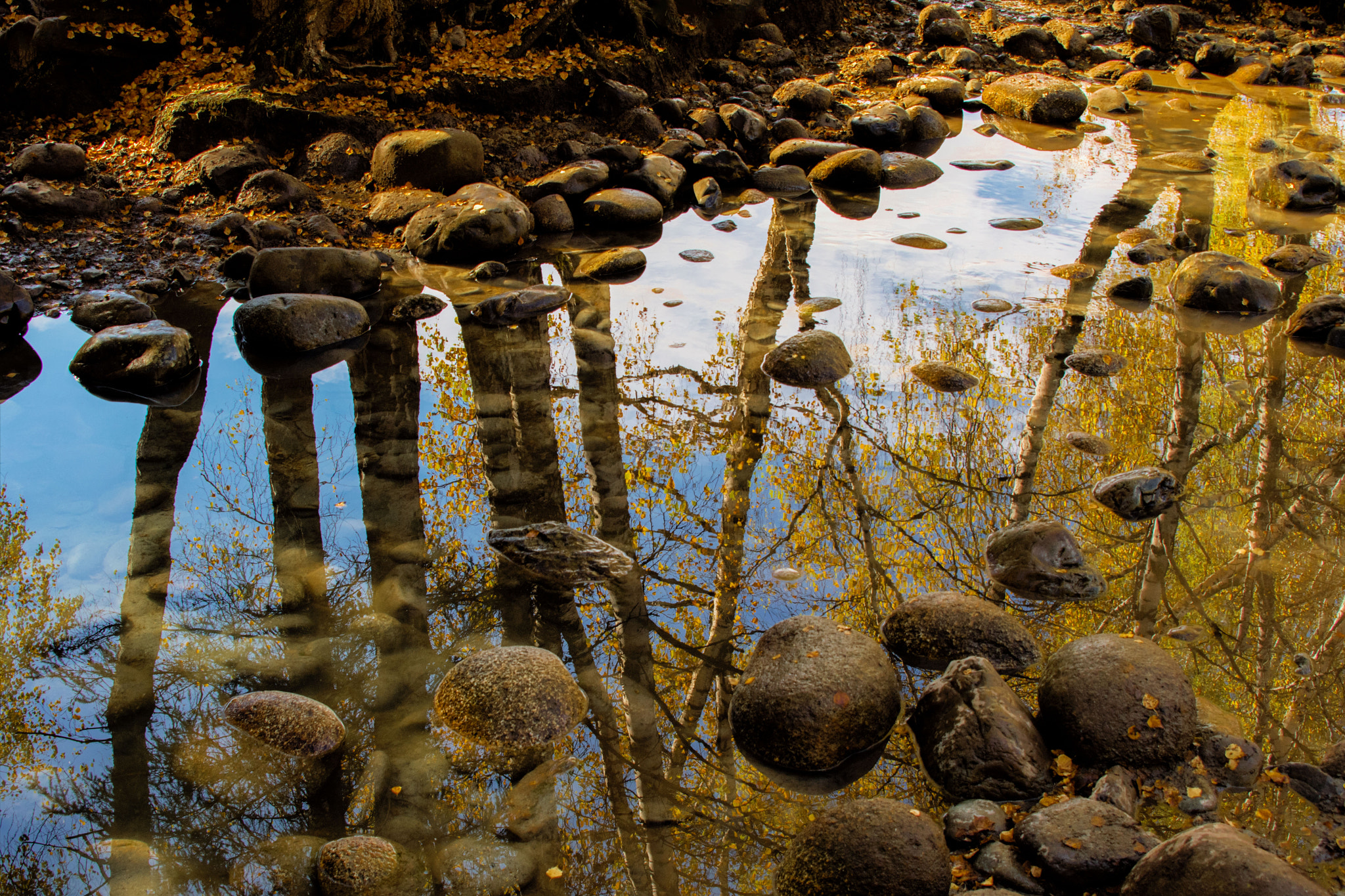 Nikon D500 sample photo. Autumn is a time for reflection photography