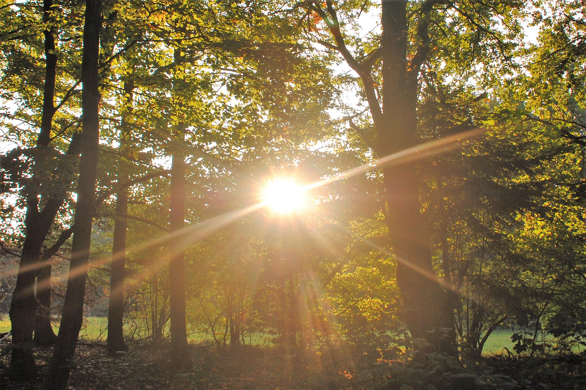 Nikon D3000 sample photo. Oktobersonne photography