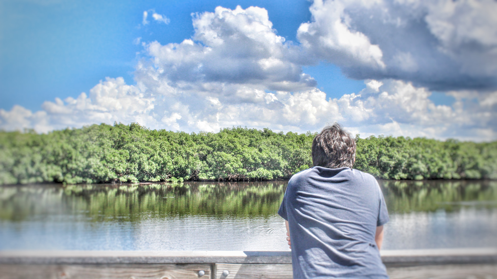 Canon EF-S 18-55mm F3.5-5.6 IS II sample photo. Weedon island photography