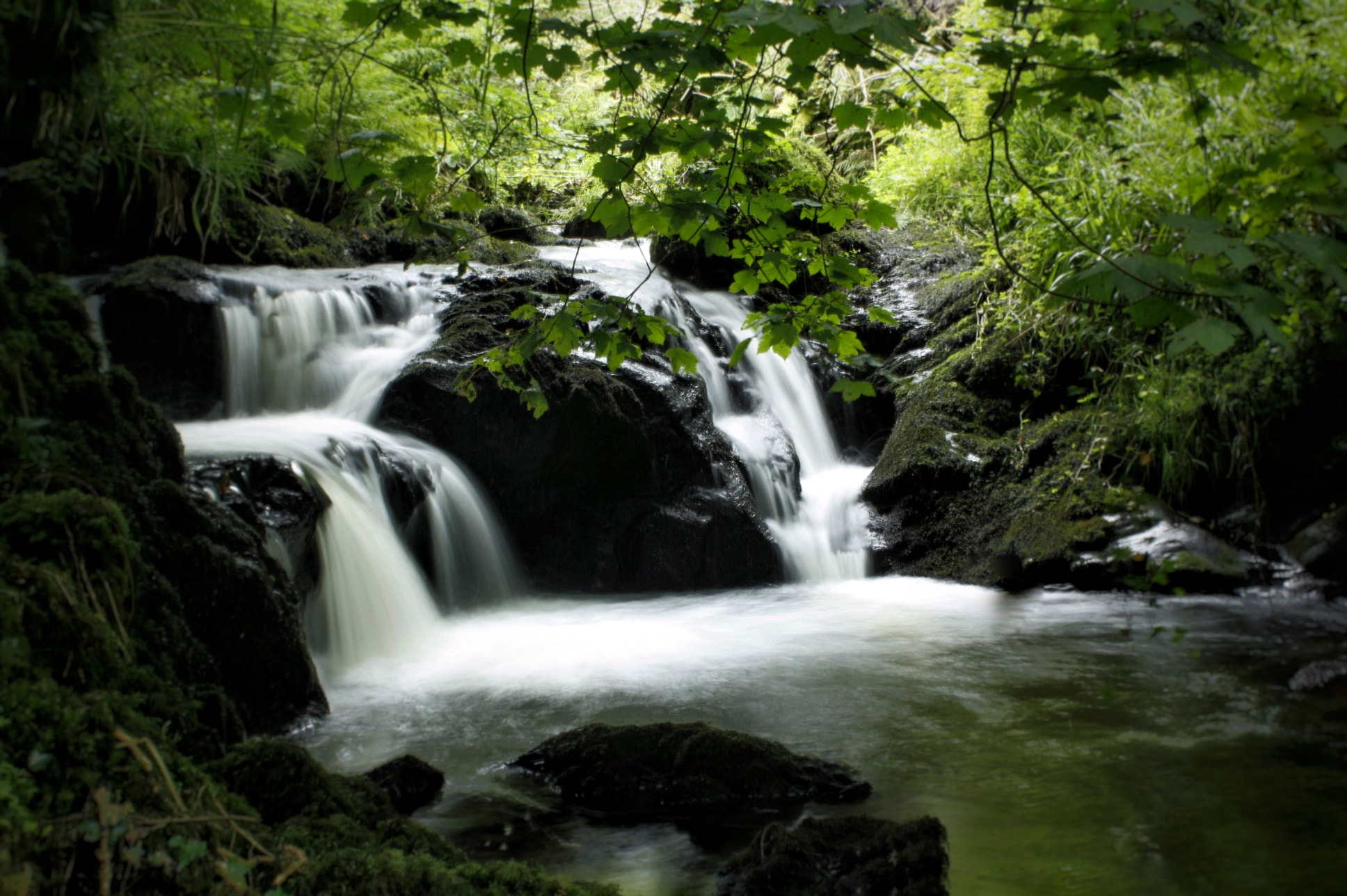 Canon EF28-80mm f/3.5-5.6 sample photo