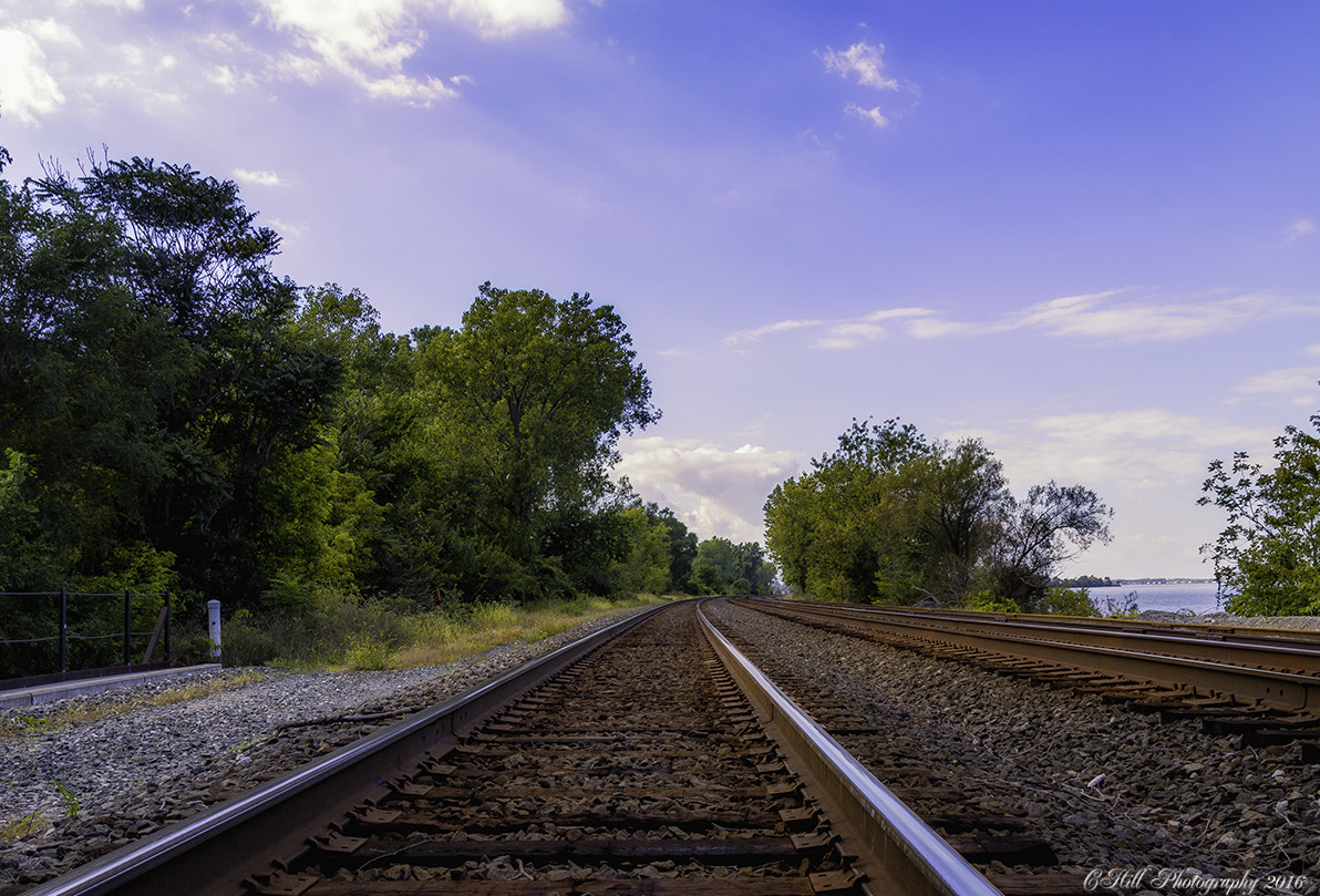Sigma 18-250mm F3.5-6.3 DC OS HSM sample photo. Tracks by the lake photography