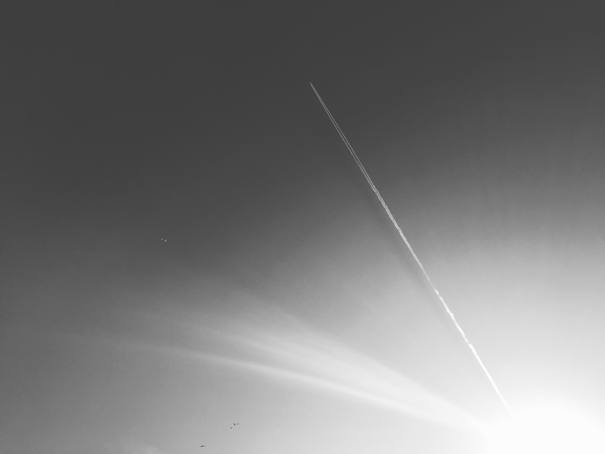Blackie Camera sample photo. Our destination is sky :) photography