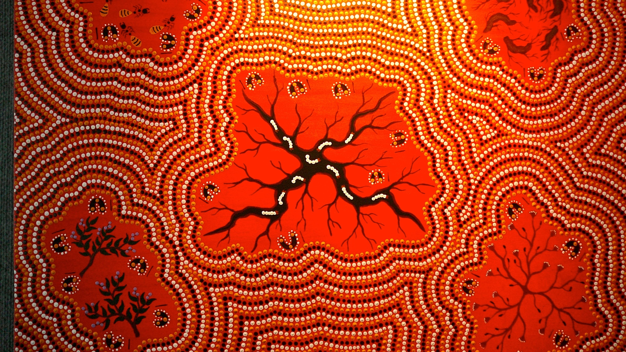 Panasonic DMC-TZ1 sample photo. One of my favourite aboriginal paintings (1) photography