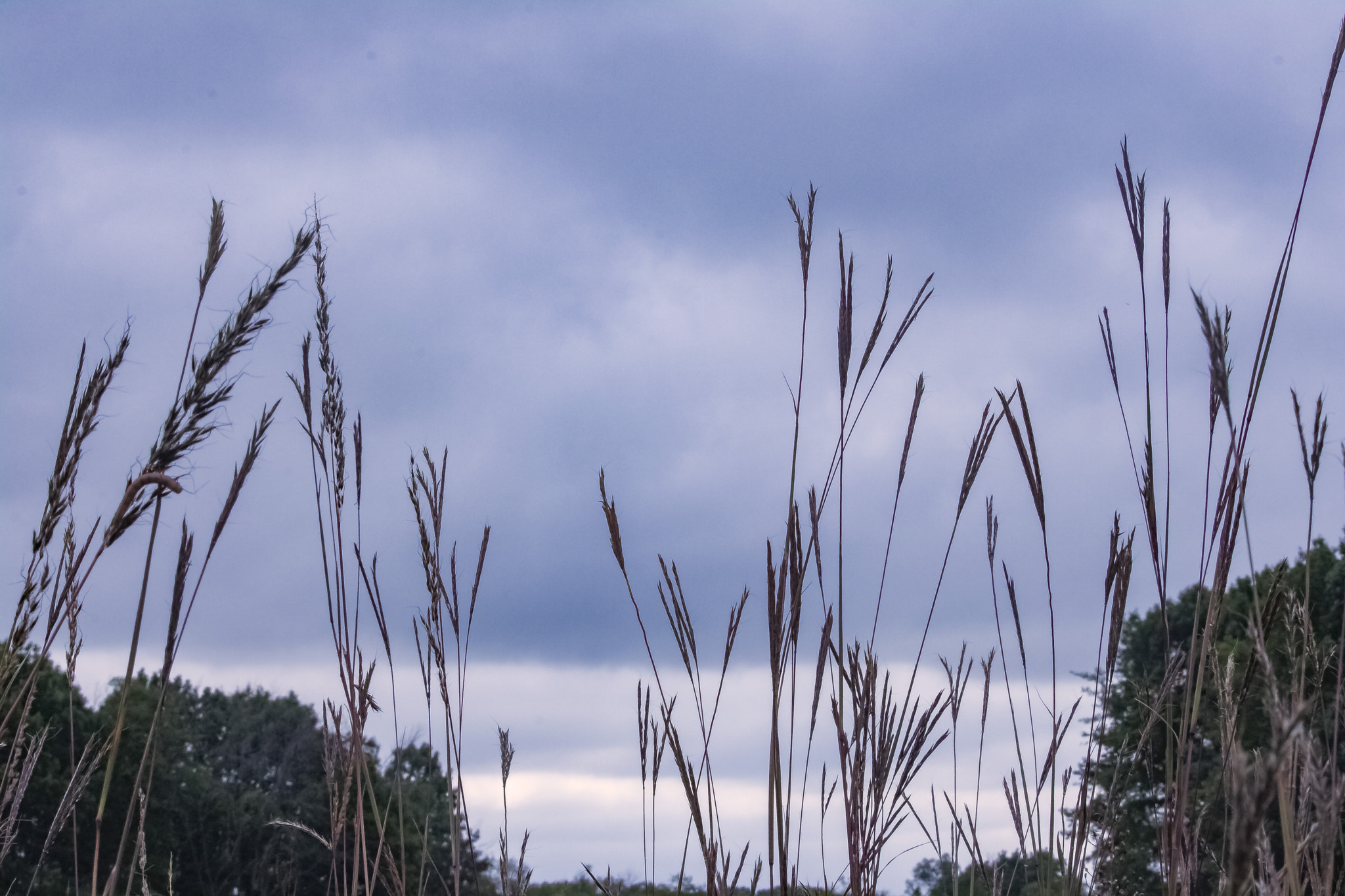 Canon EOS 760D (EOS Rebel T6s / EOS 8000D) sample photo. A september day at the crabtree nature center photography
