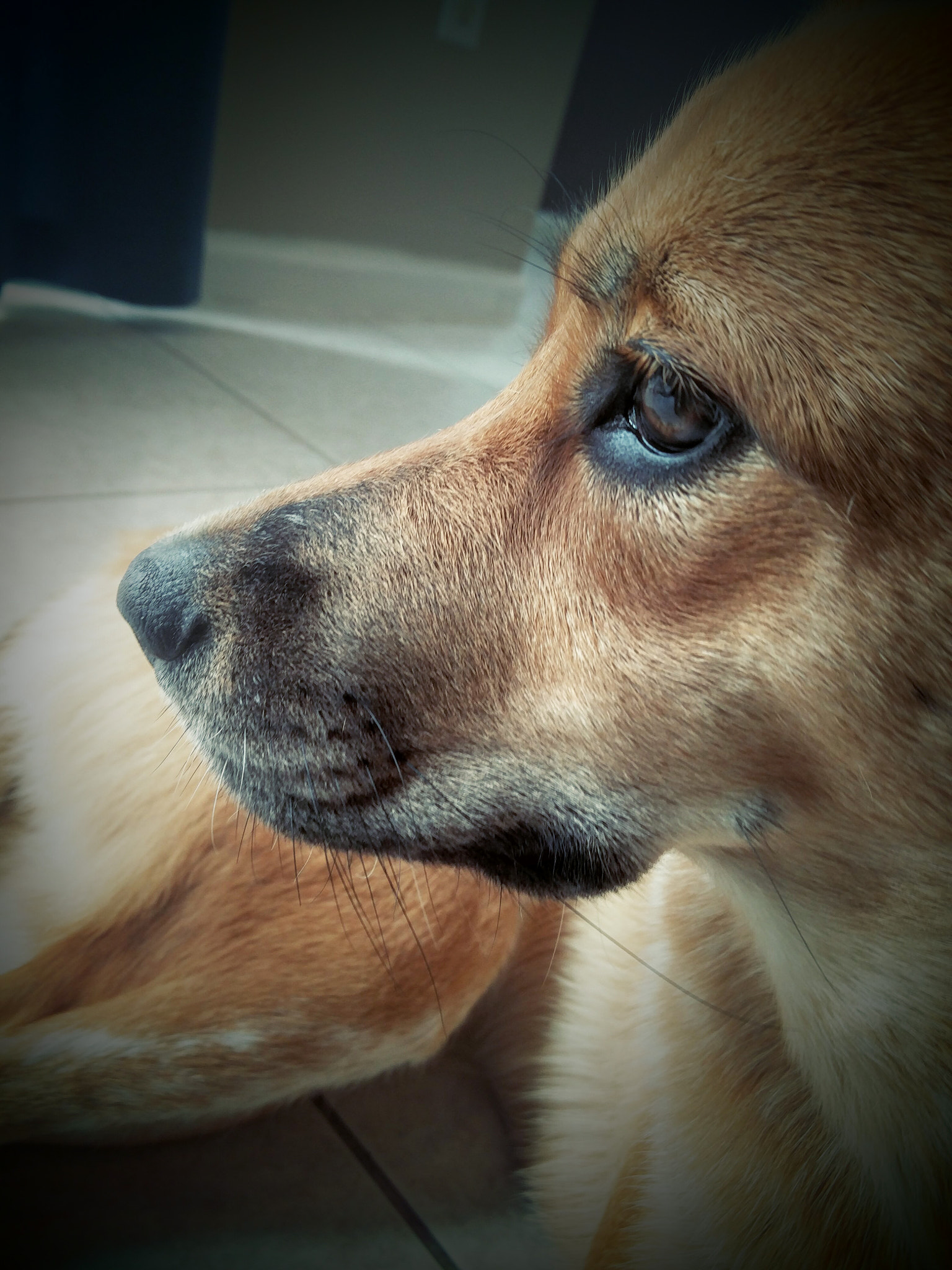 OnePlus ONE A2005 sample photo