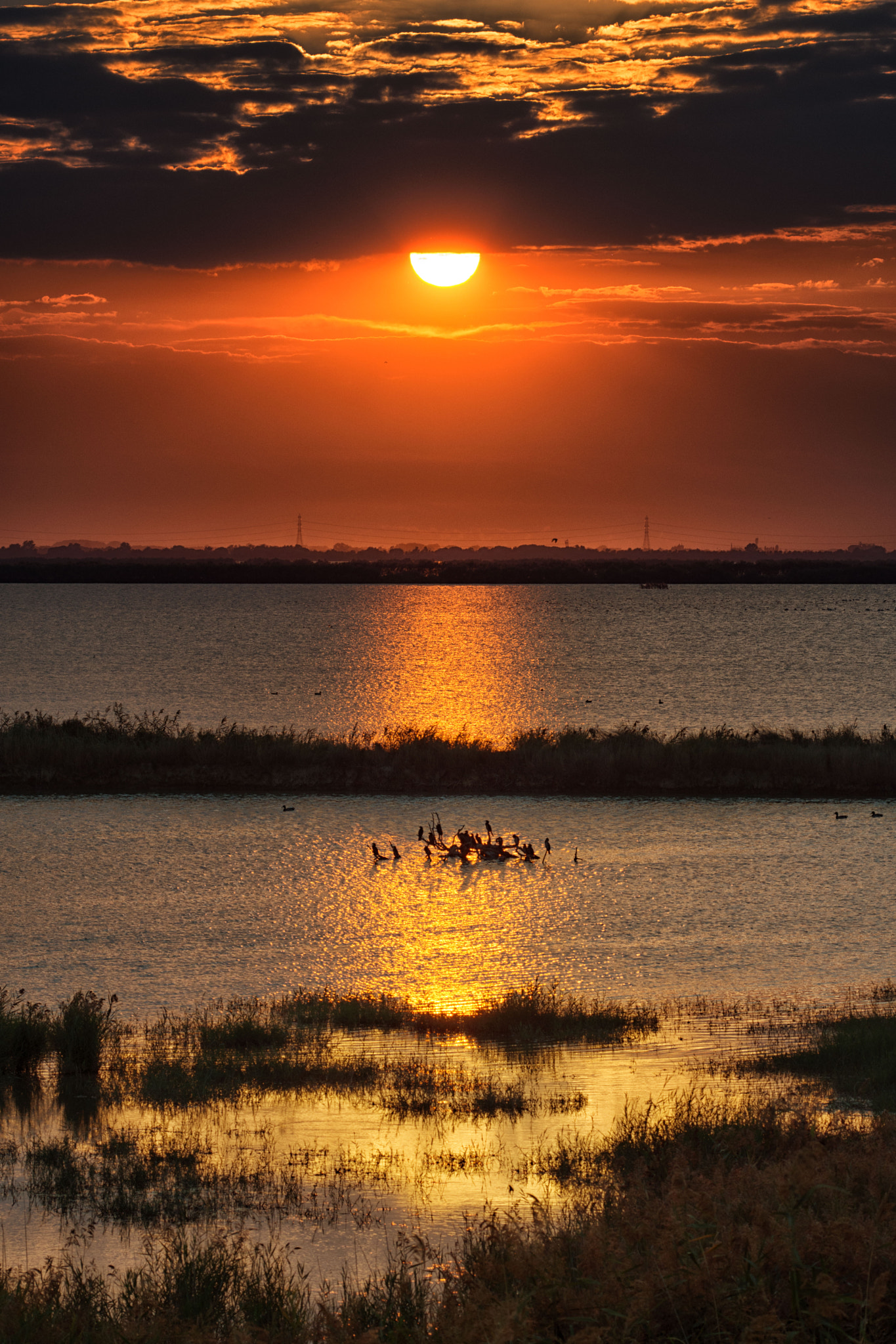 Nikon AF-S Nikkor 70-200mm F4G ED VR sample photo. Delta sunset photography