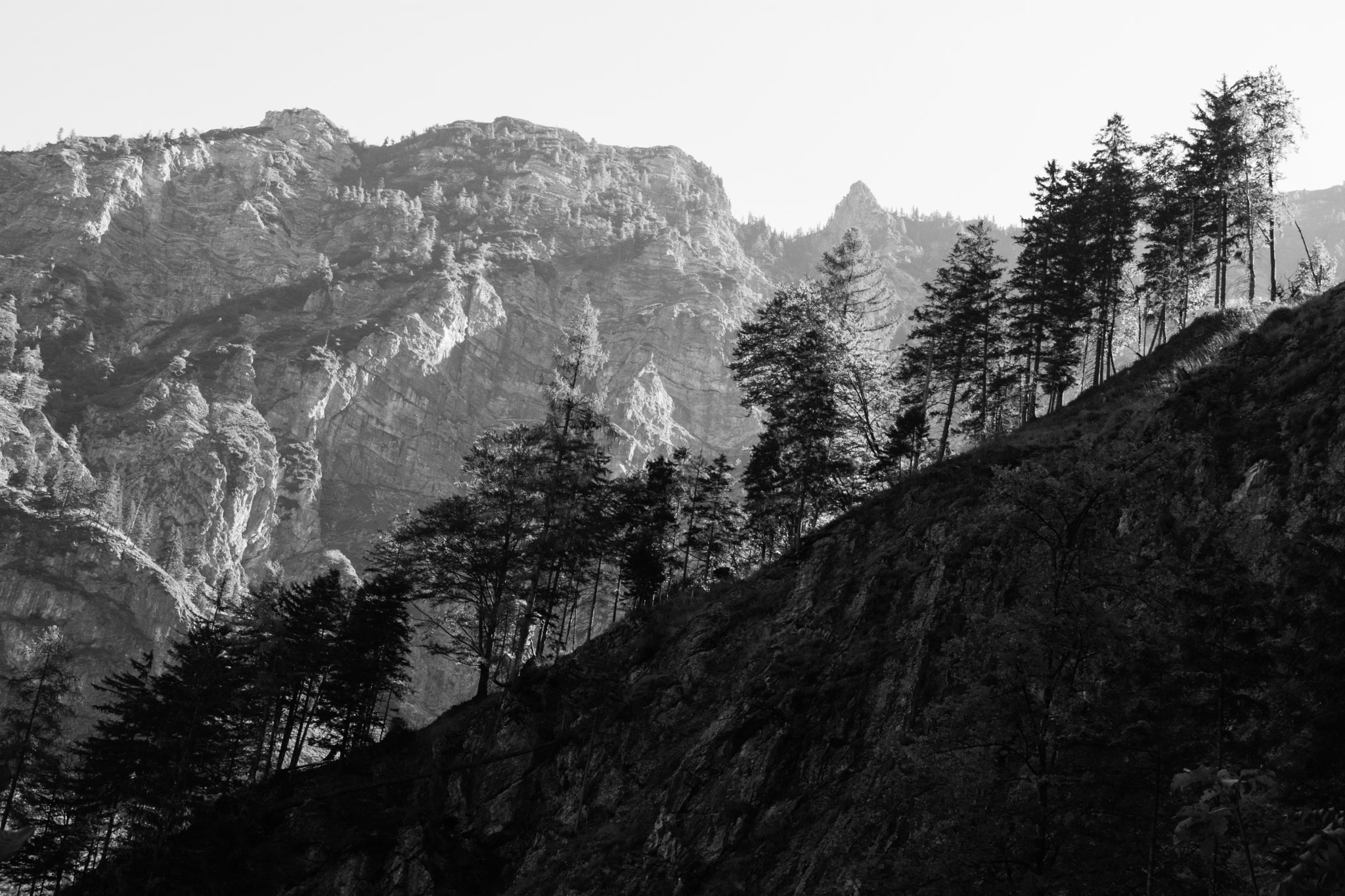 Nikon D7200 sample photo. Mountain trees photography