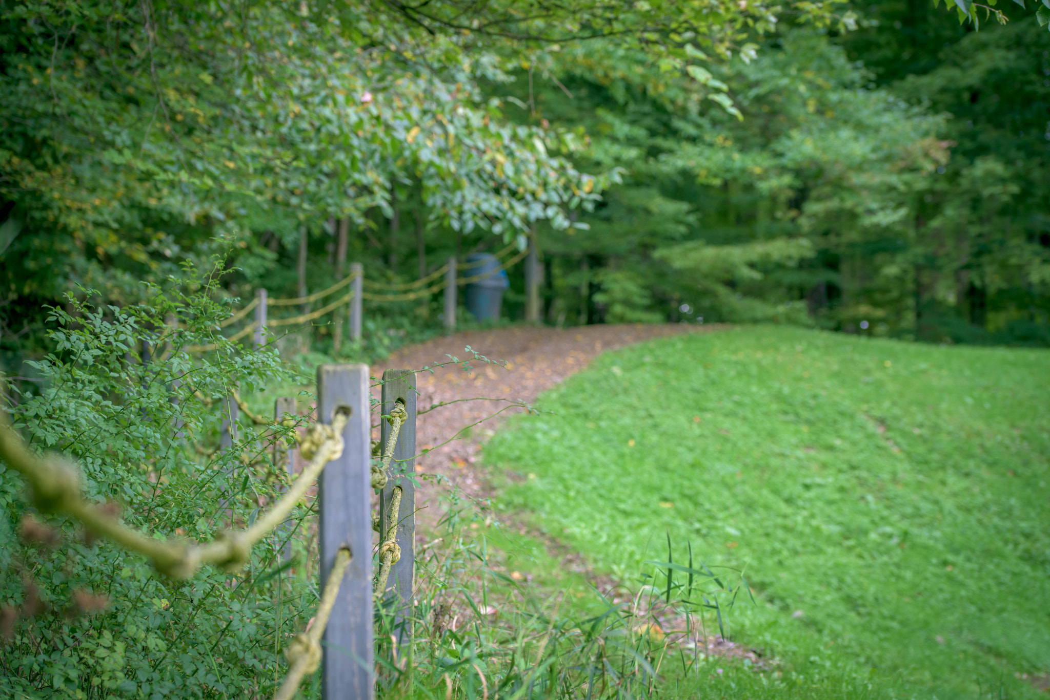 Sigma 105mm F2.8 EX DG OS HSM sample photo. Dsc photography