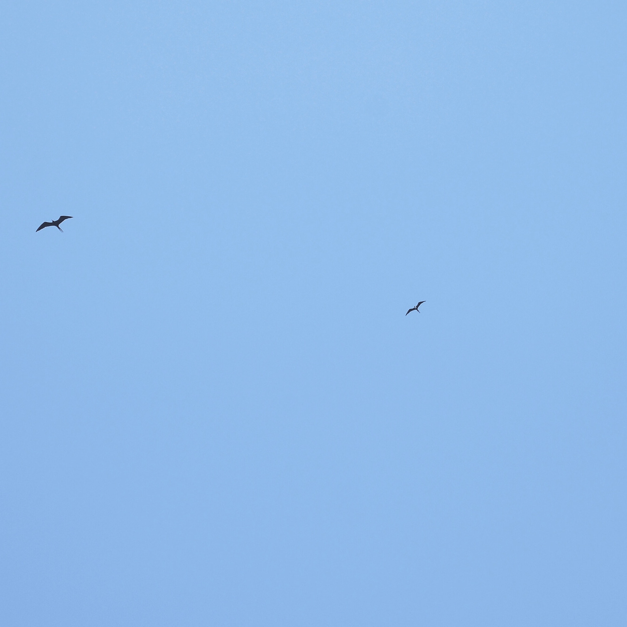 Olympus M.Zuiko Digital 14-42mm F3.5-5.6 II R sample photo. Heavenly sky photography