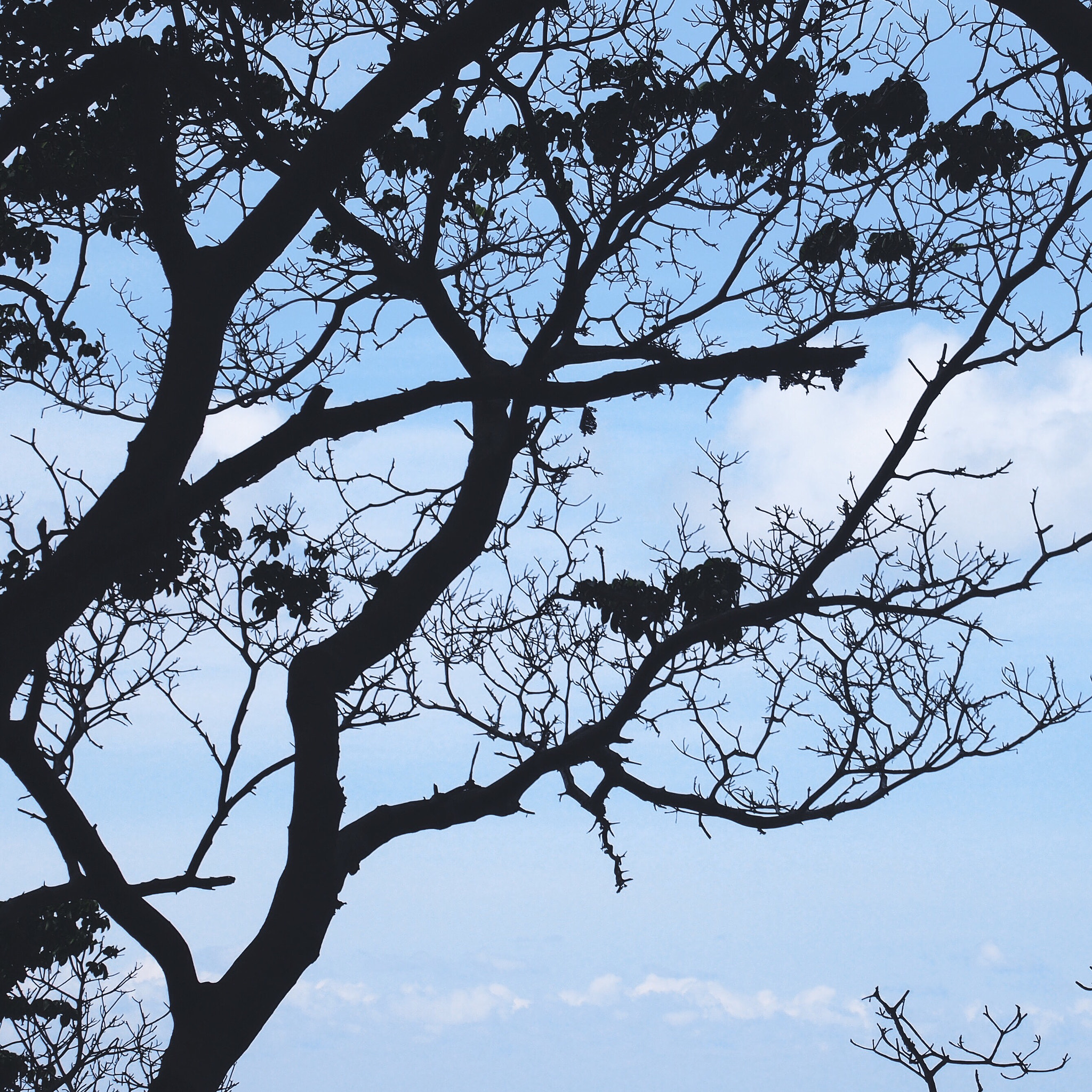 Olympus PEN E-PM1 sample photo. Sayulita, mexico photography